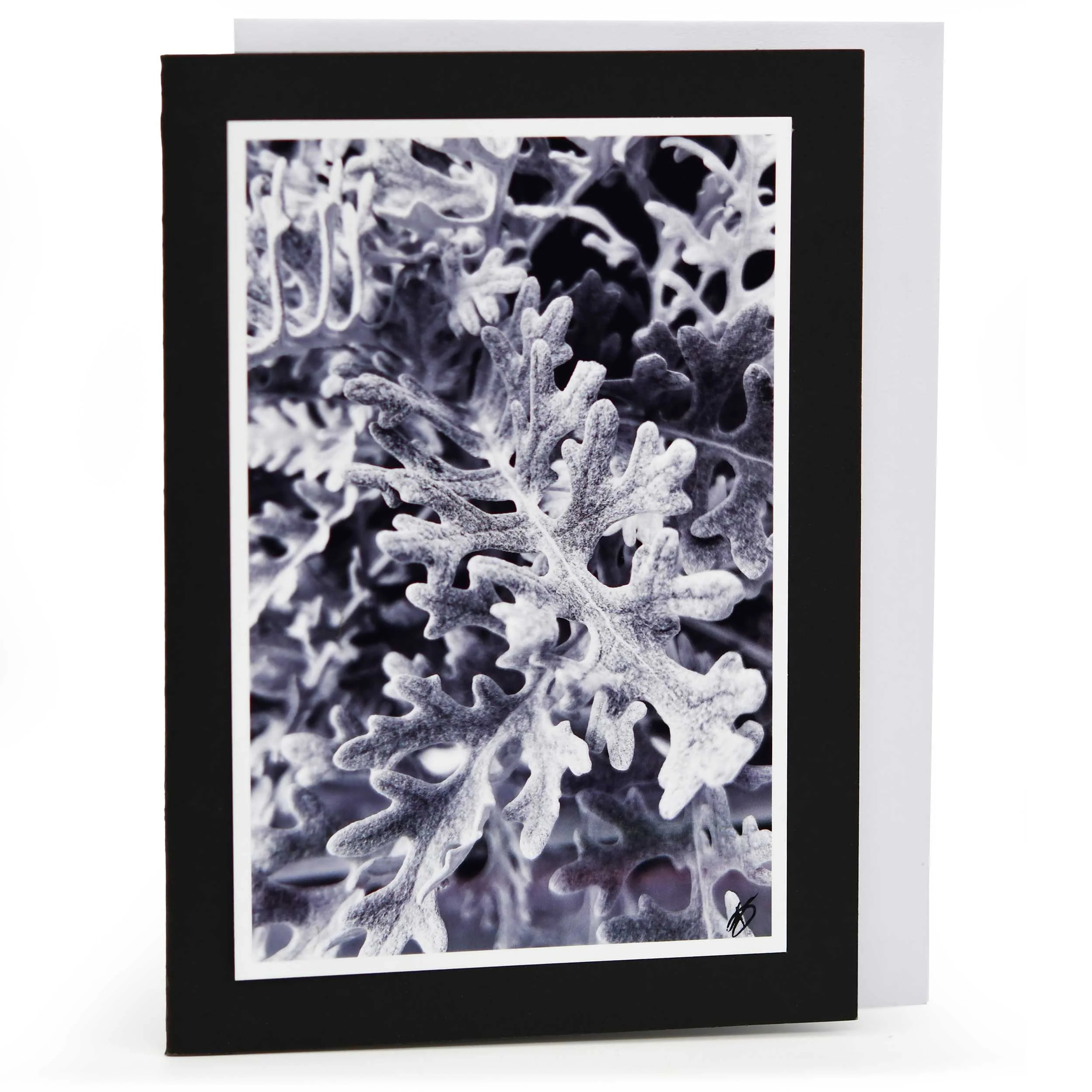 Blank Christmas Greeting Card | Multiple Designs | KJ Made - Image 9