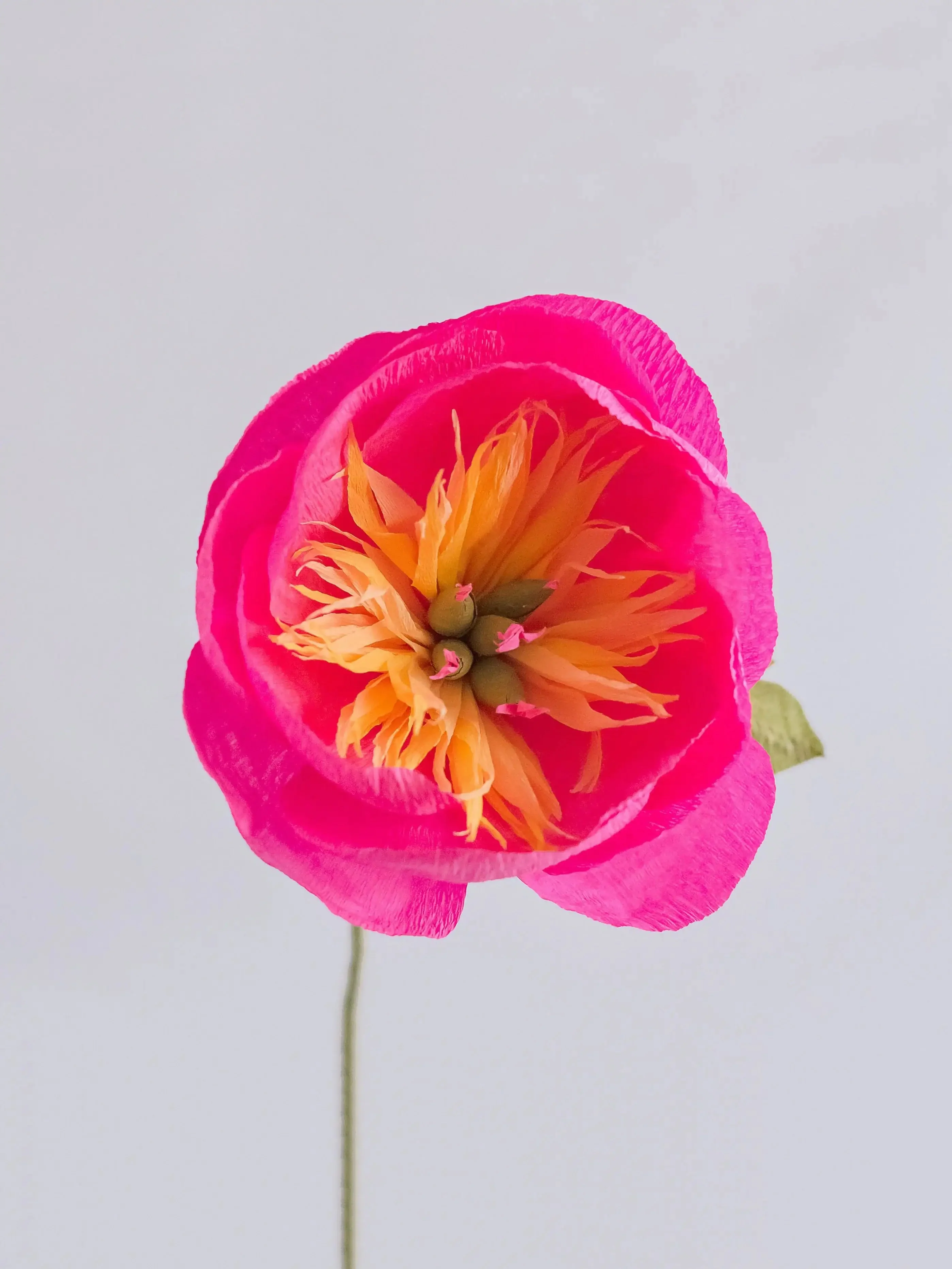 Bowl Peony Single Stem | Handcrafted Paper Flower - Image 2