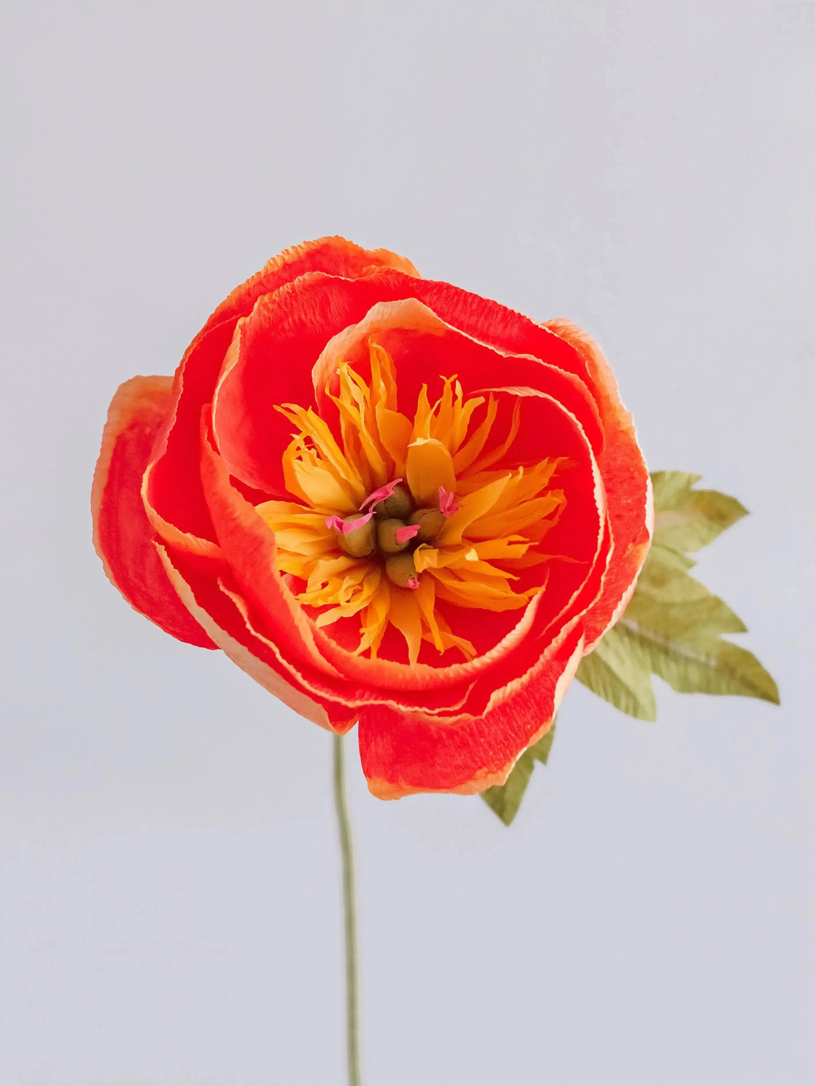 Bowl Peony Single Stem | Handcrafted Paper Flower - Image 3