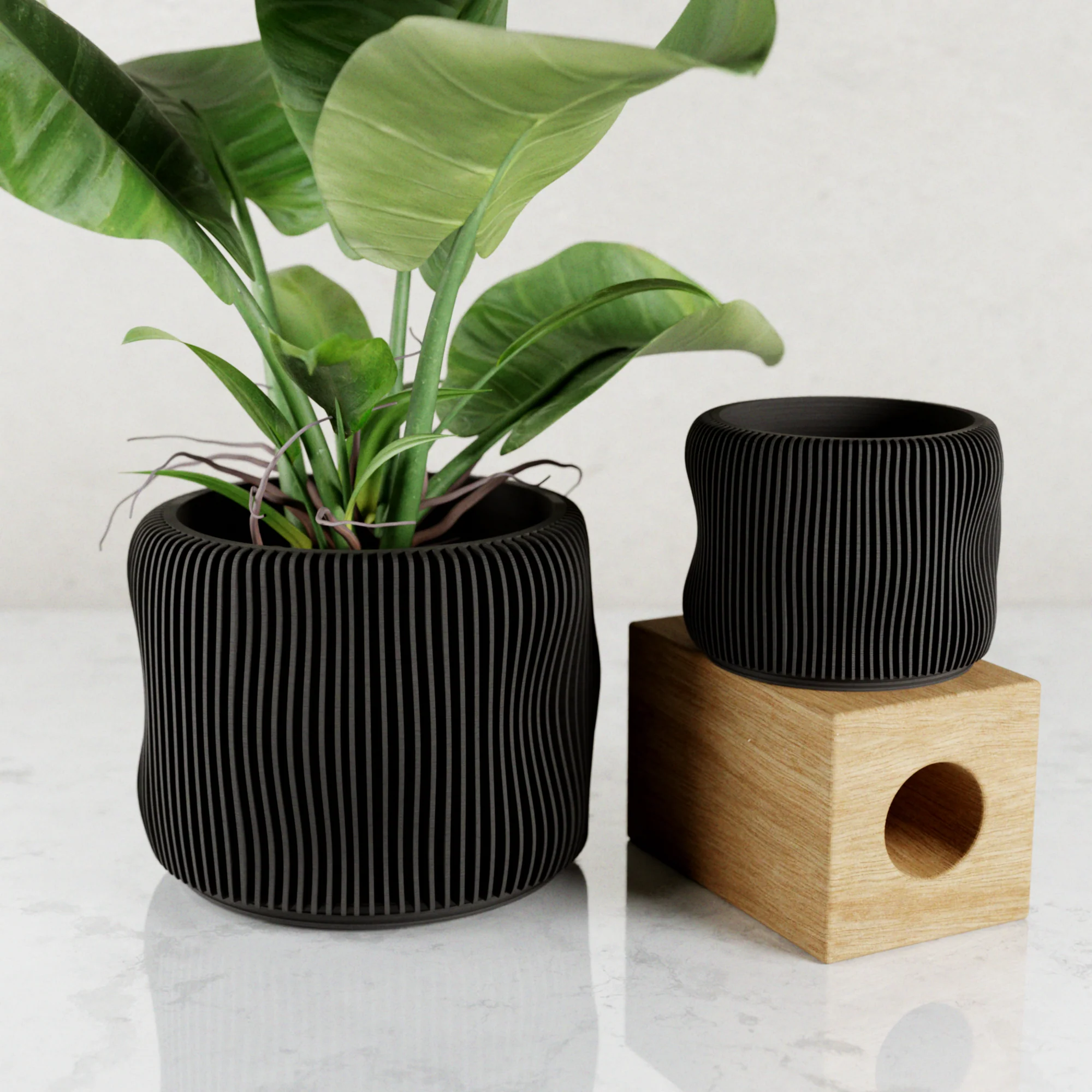 BUBBLY Planter - Image 8