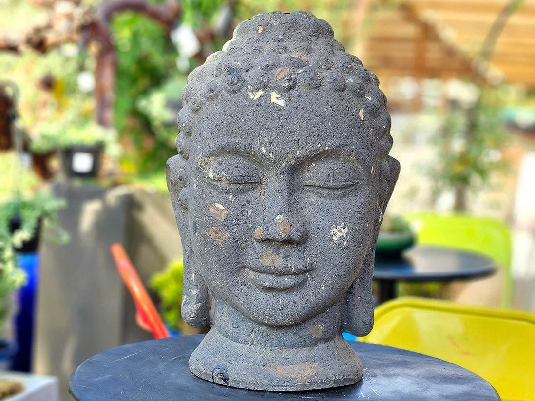 Buddha Head By Plantatorem - Image 5