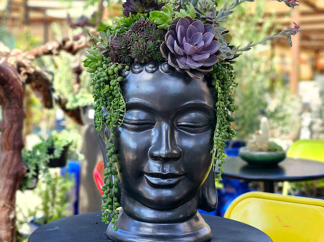 Buddha Head Planter By Plantatorem - Image 4