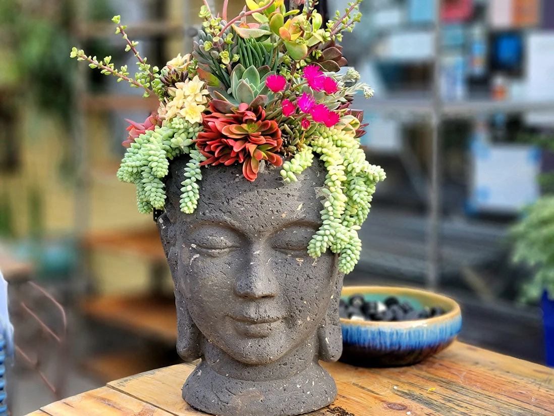 Buddha Head Planter By Plantatorem - Image 6