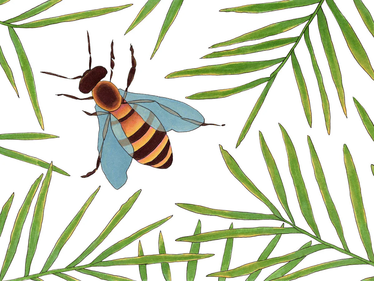 Bumbling - Open Edition Canvas Print - Image 8