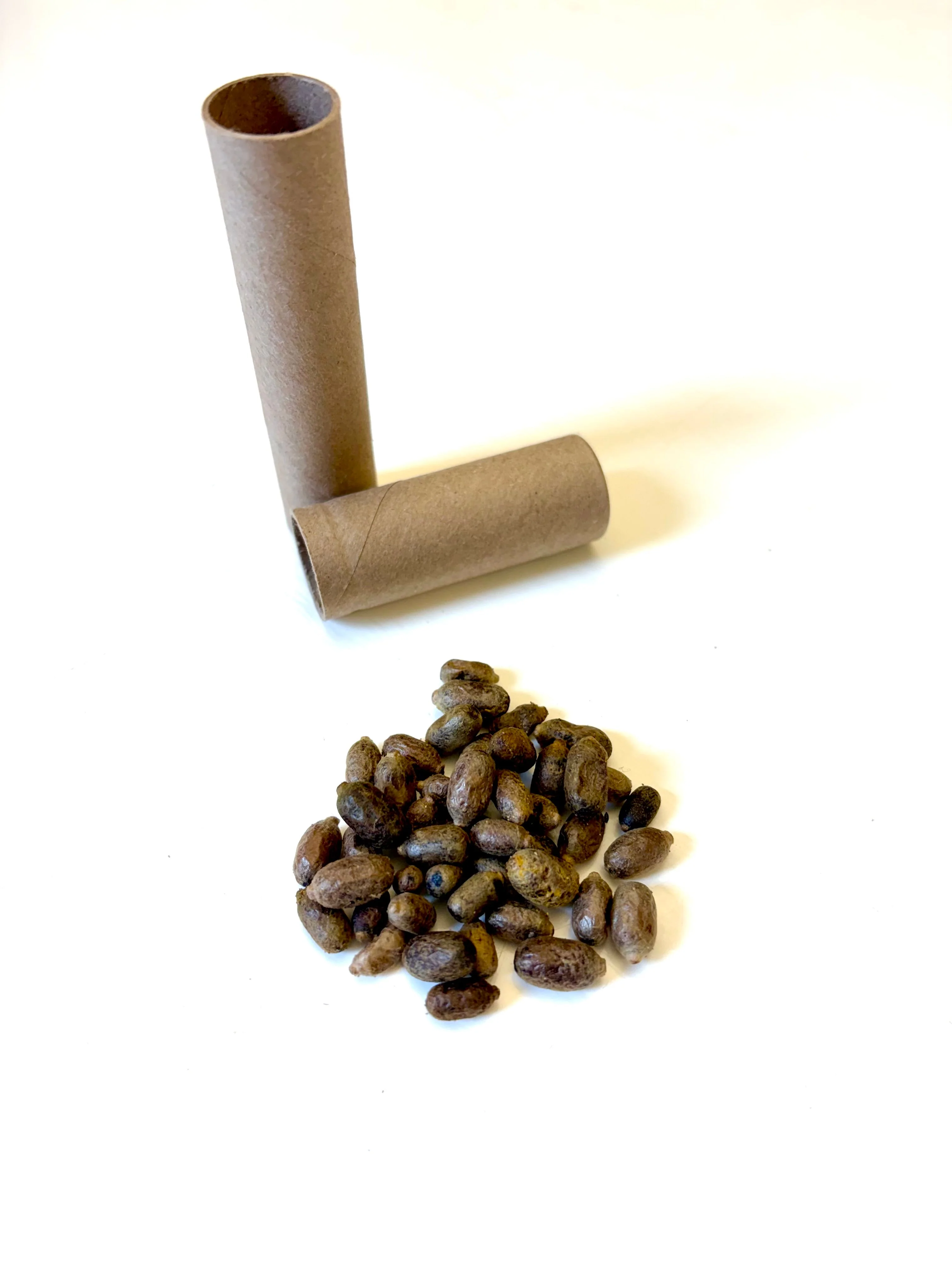 Buy Mason Bees | 40+ OBA Certified Cocoons with Free 2 Day Shipping - Image 2