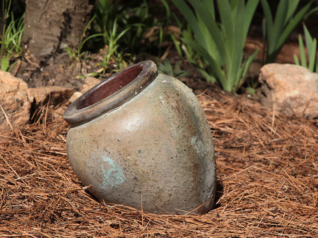 Buy Premium Pots D Piso By Plantatorem - Image 2