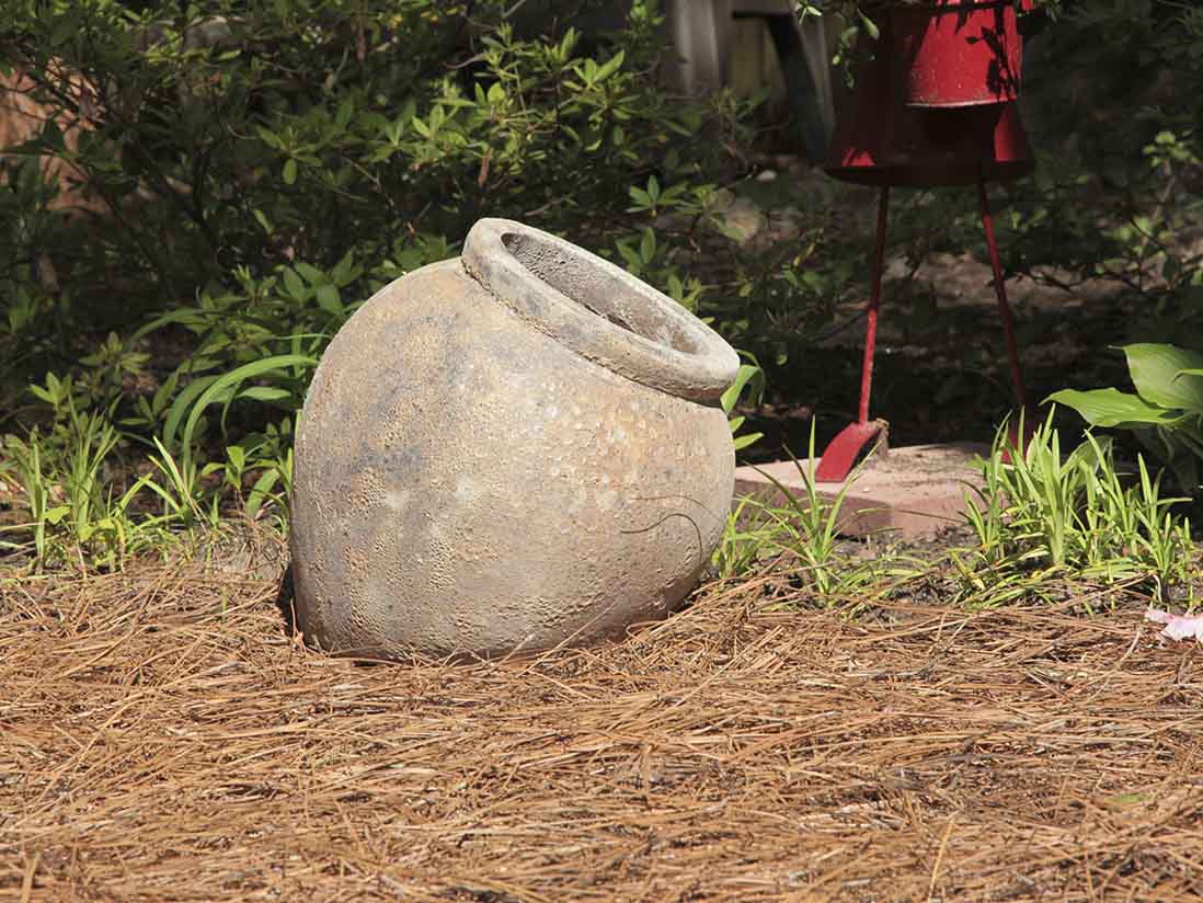 Buy Premium Pots D Piso By Plantatorem - Image 3