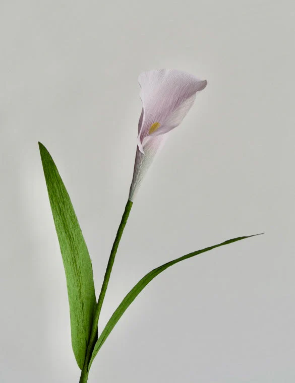 Calla Lily Single Stem | Handcrafted Paper Flower - Image 2