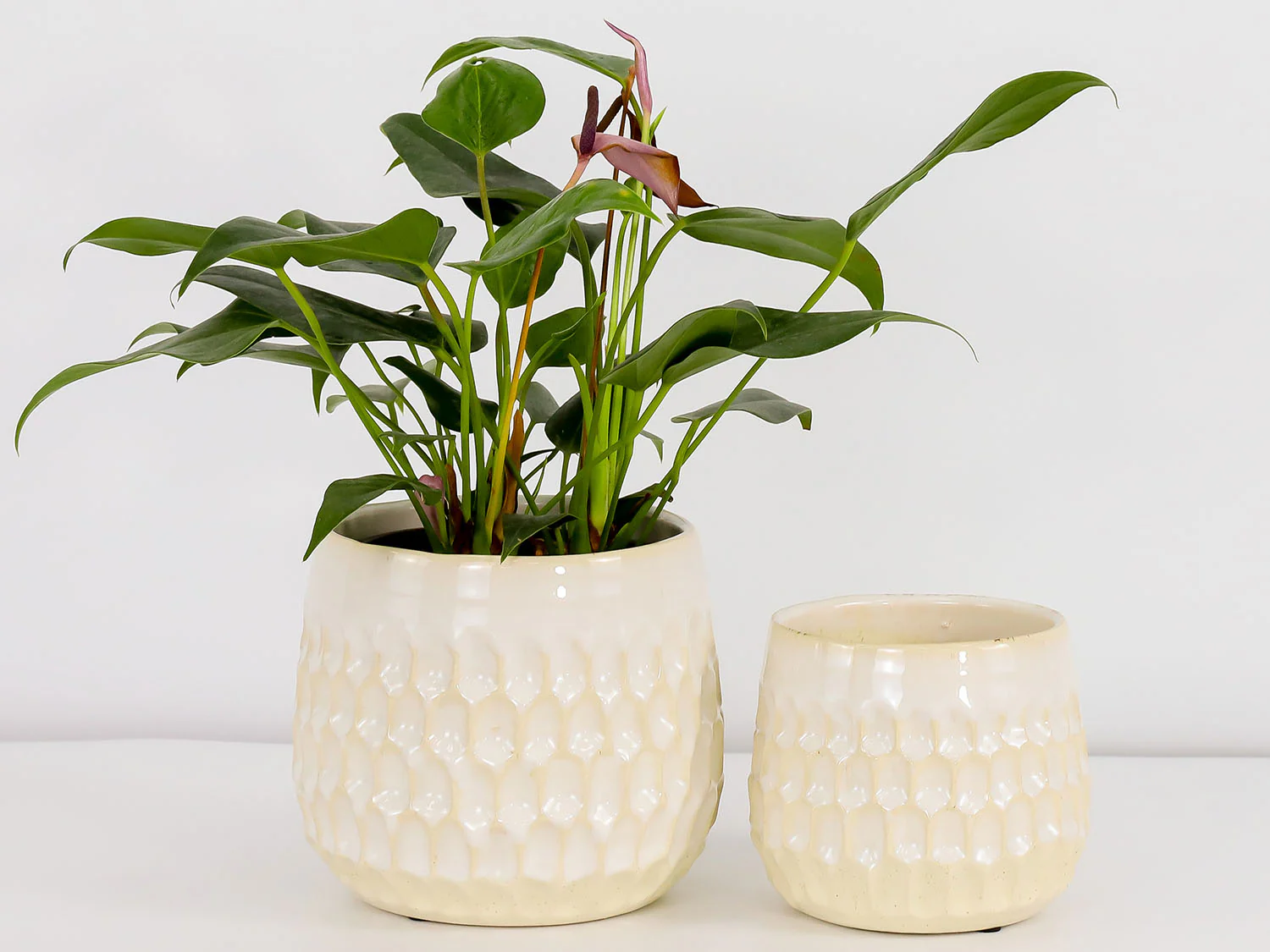 Cambria Planters - Image 10