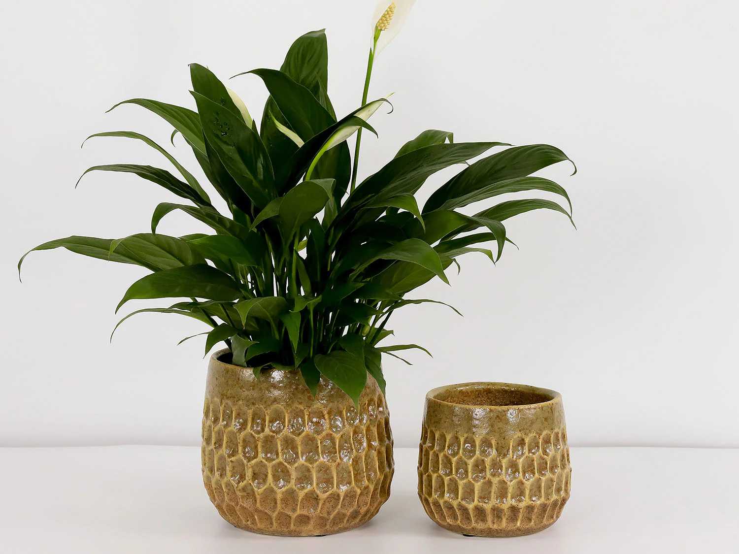 Cambria Planters - Image 3