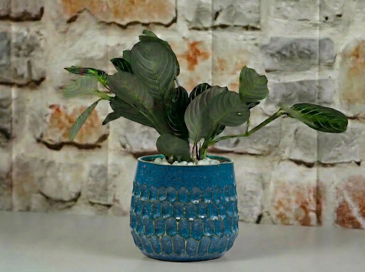 Cambria Planters - Image 4