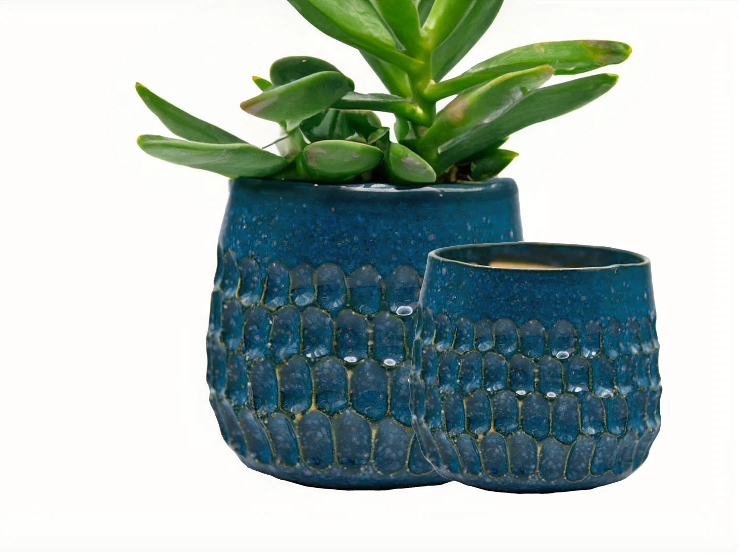 Cambria Planters - Image 6