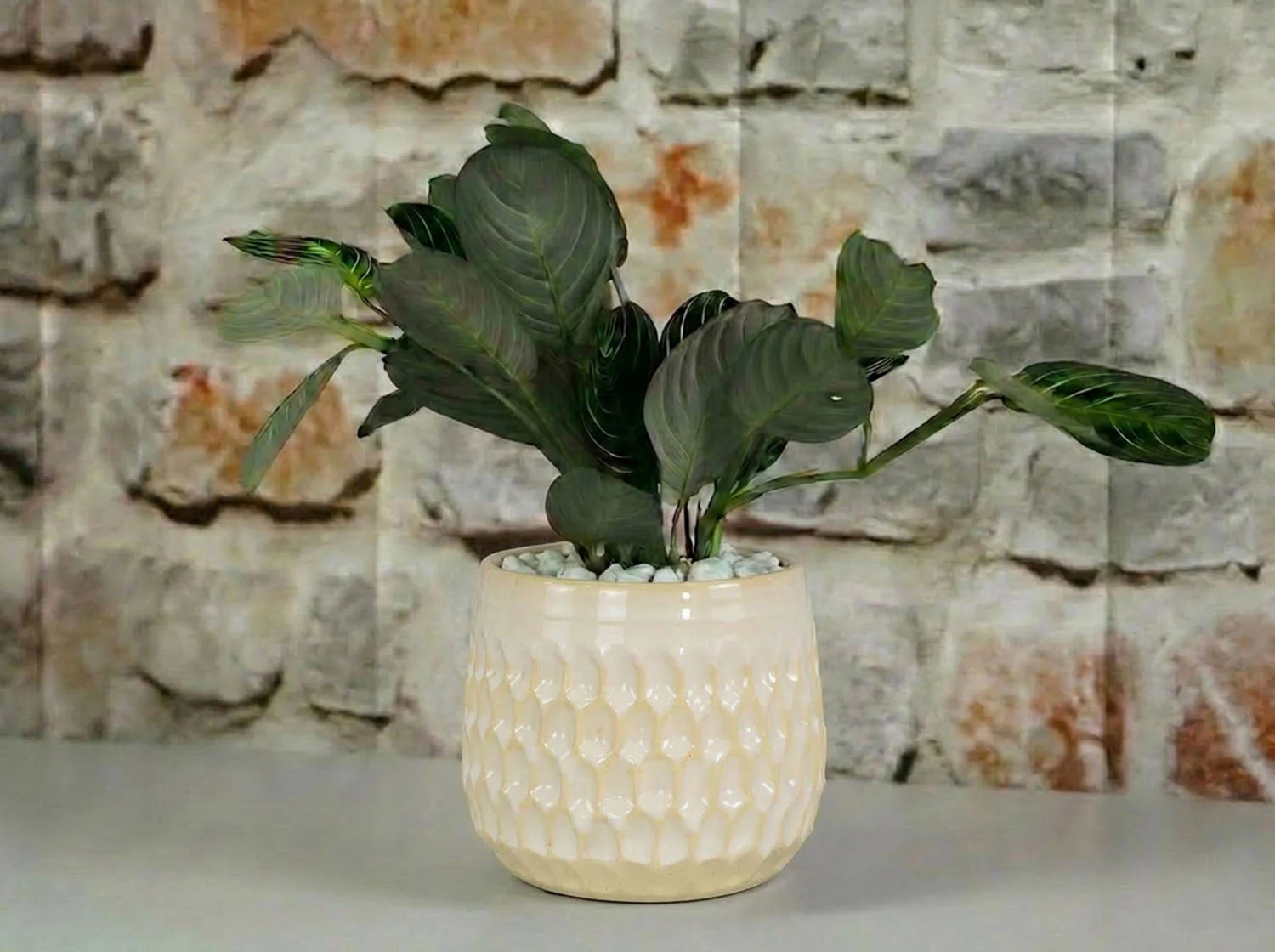 Cambria Planters - Image 7