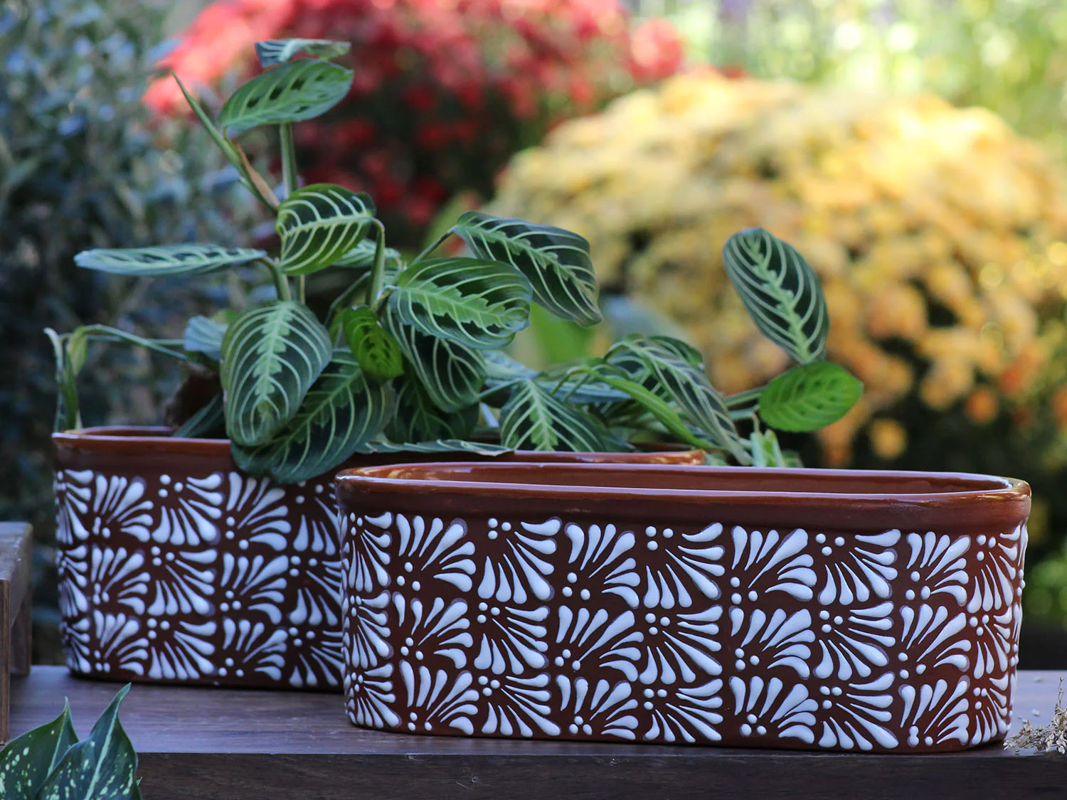 CANOE PLANTER - Image 2