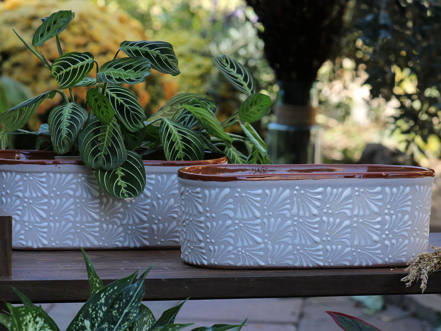 CANOE PLANTER - Image 5