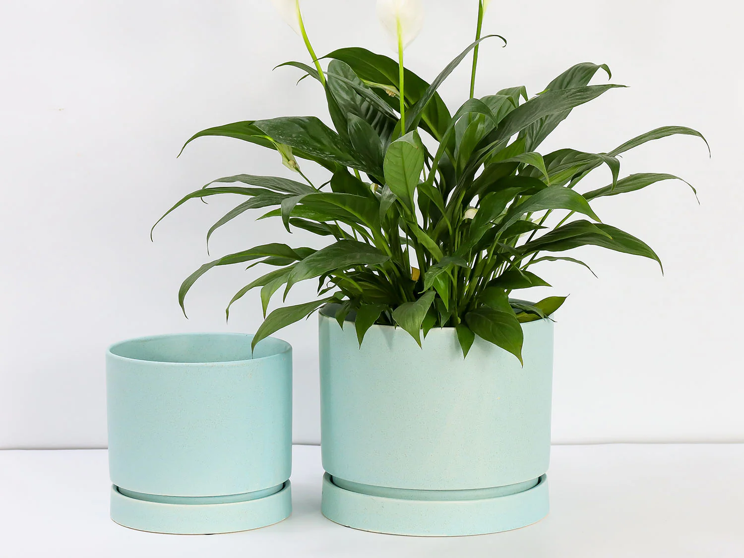 Carmel Attached Saucers Planters - Image 10