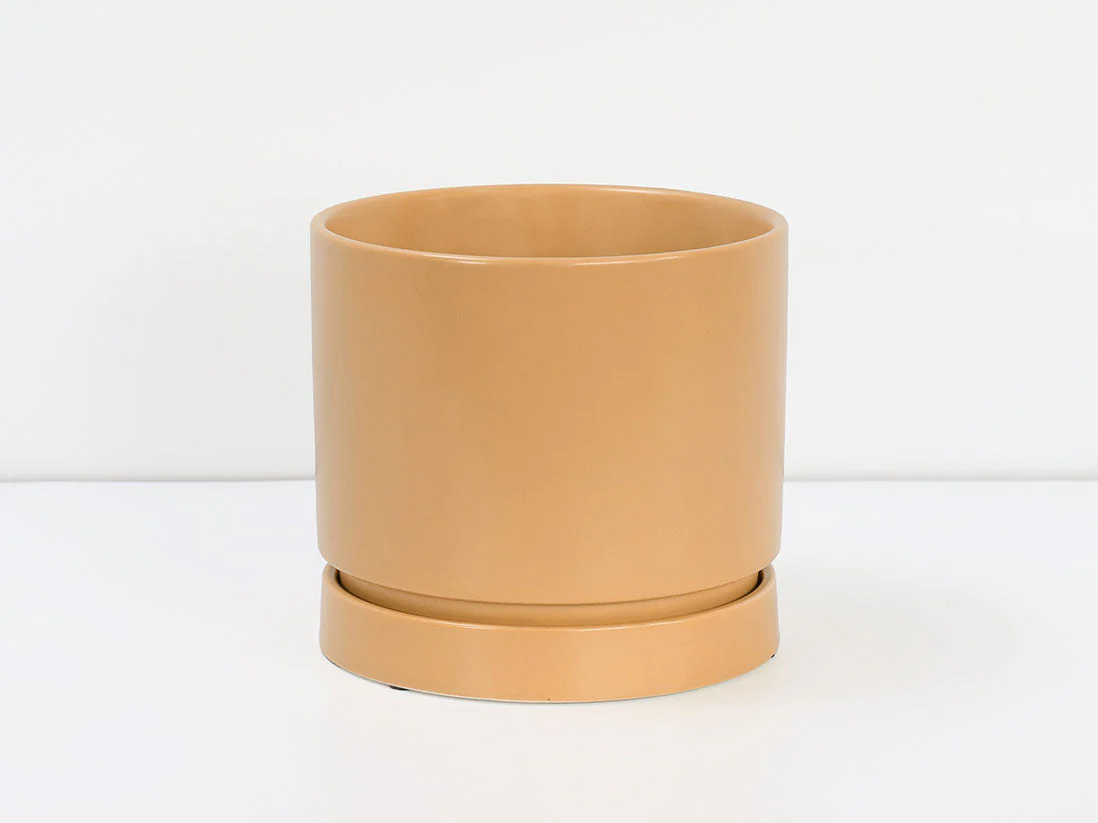 Carmel Attached Saucers Planters - Image 13