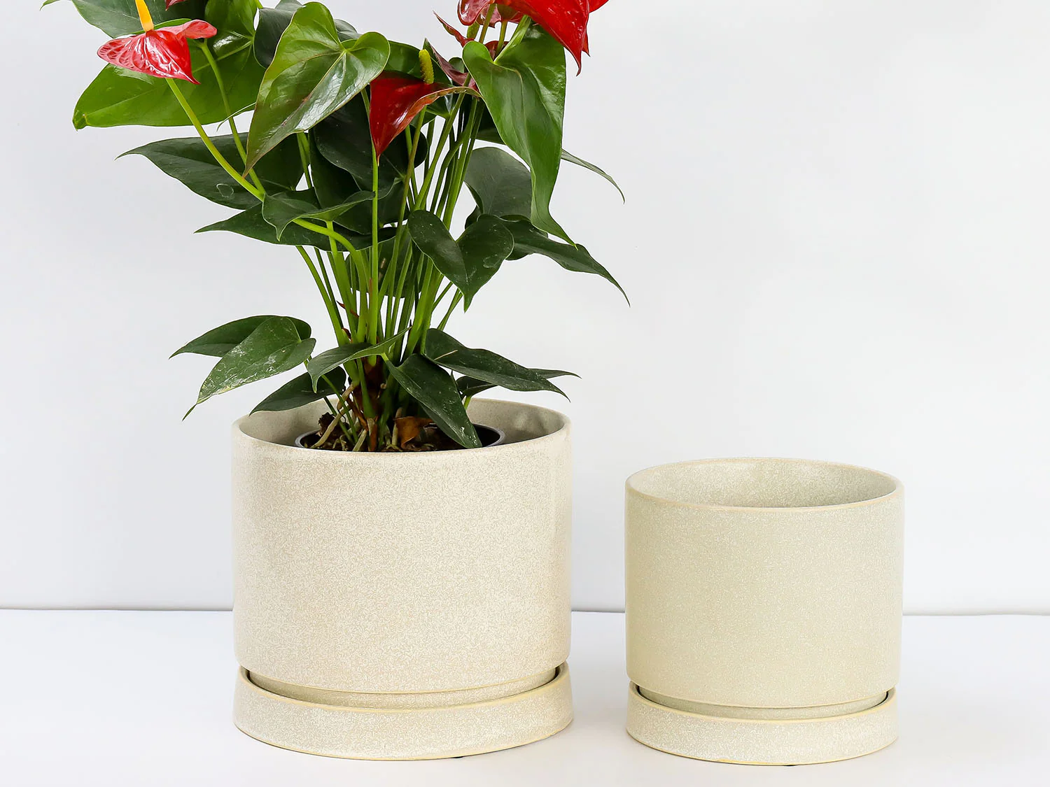 Carmel Attached Saucers Planters - Image 17