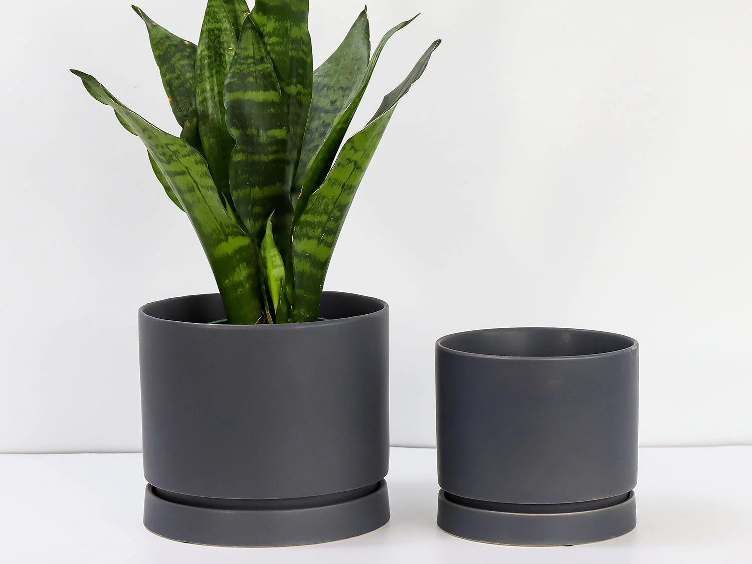 Carmel Attached Saucers Planters - Image 3