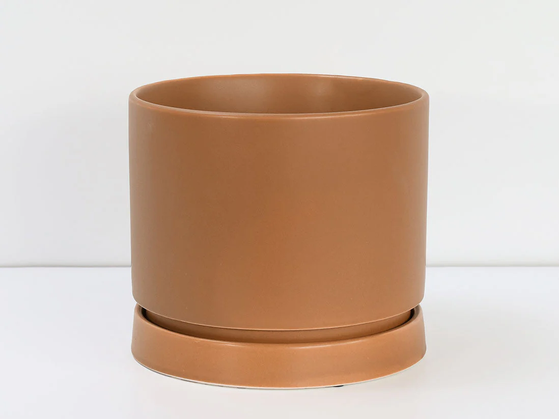 Carmel Attached Saucers Planters - Image 6