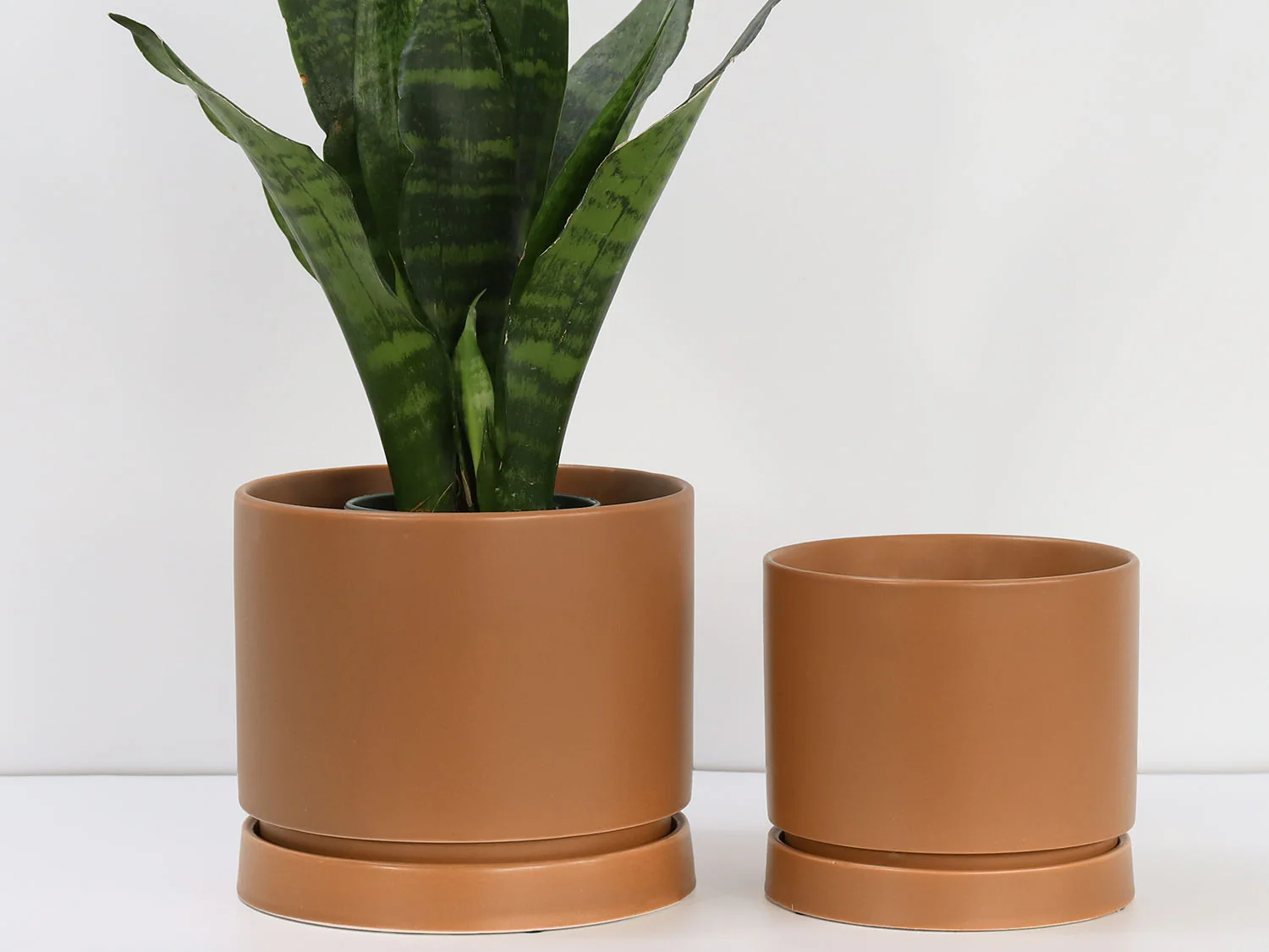Carmel Attached Saucers Planters - Image 7