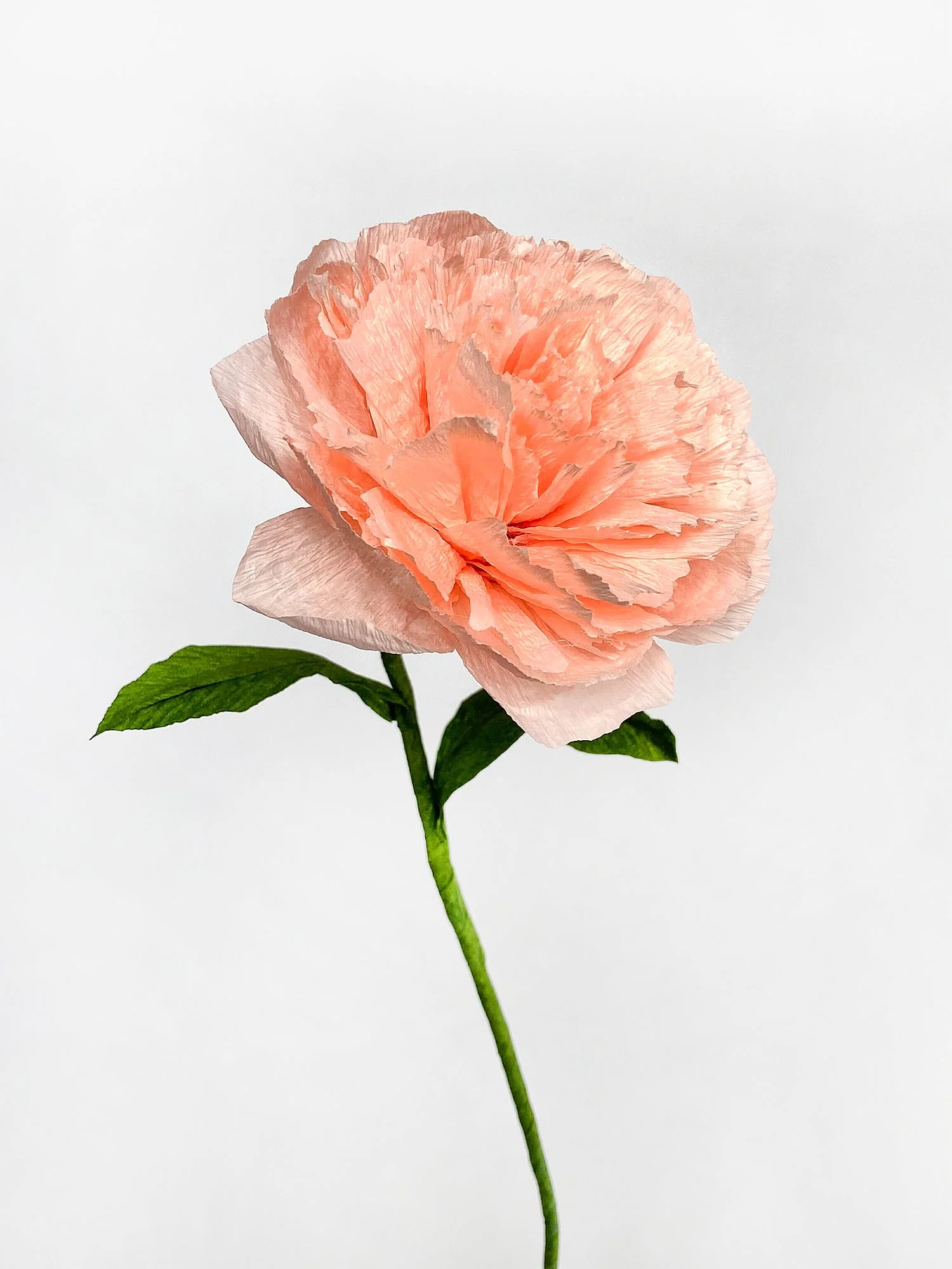 Carnation Single Stem | Handcrafted Paper Flower - Image 2