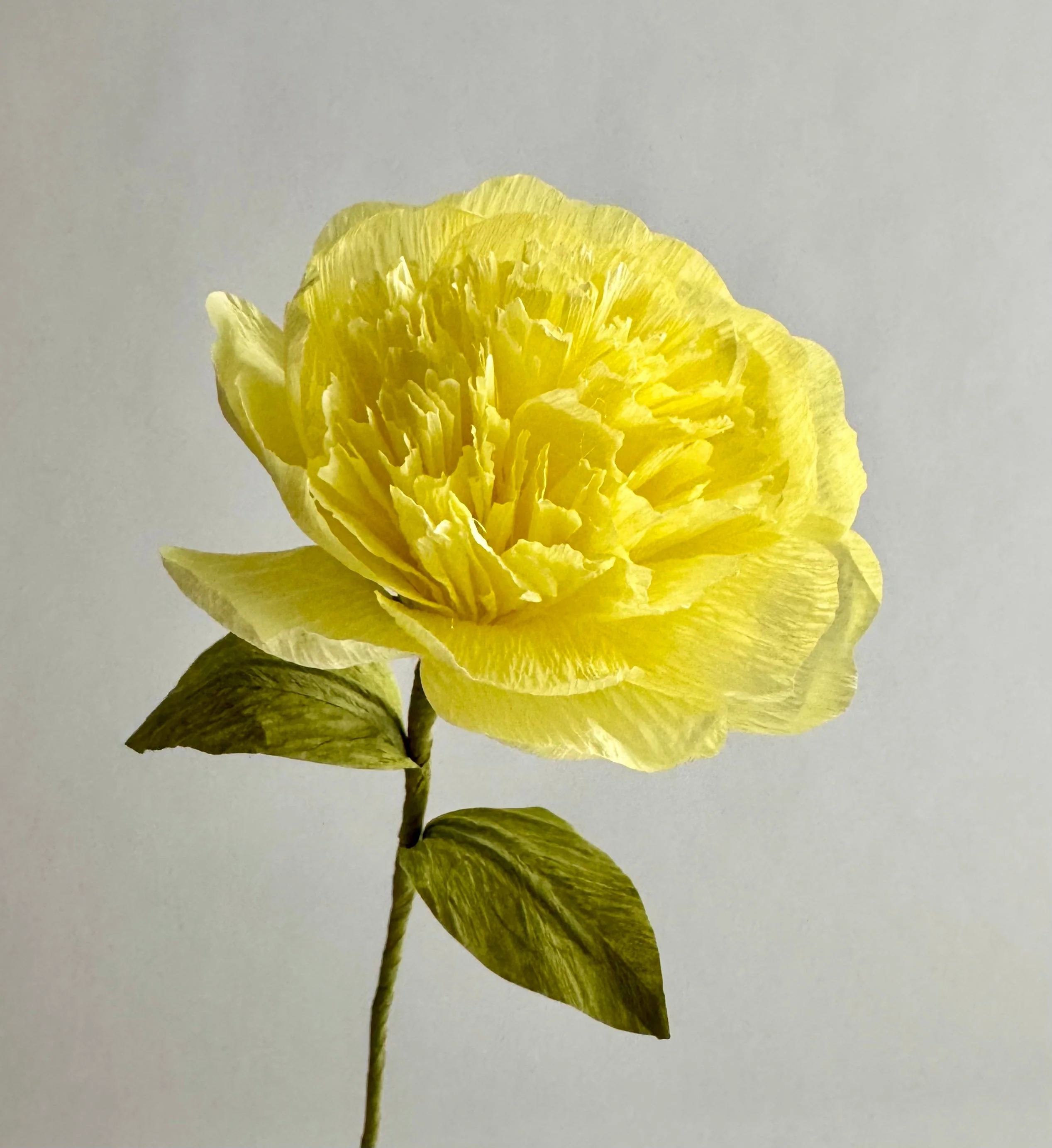 Carnation Single Stem | Handcrafted Paper Flower - Image 3