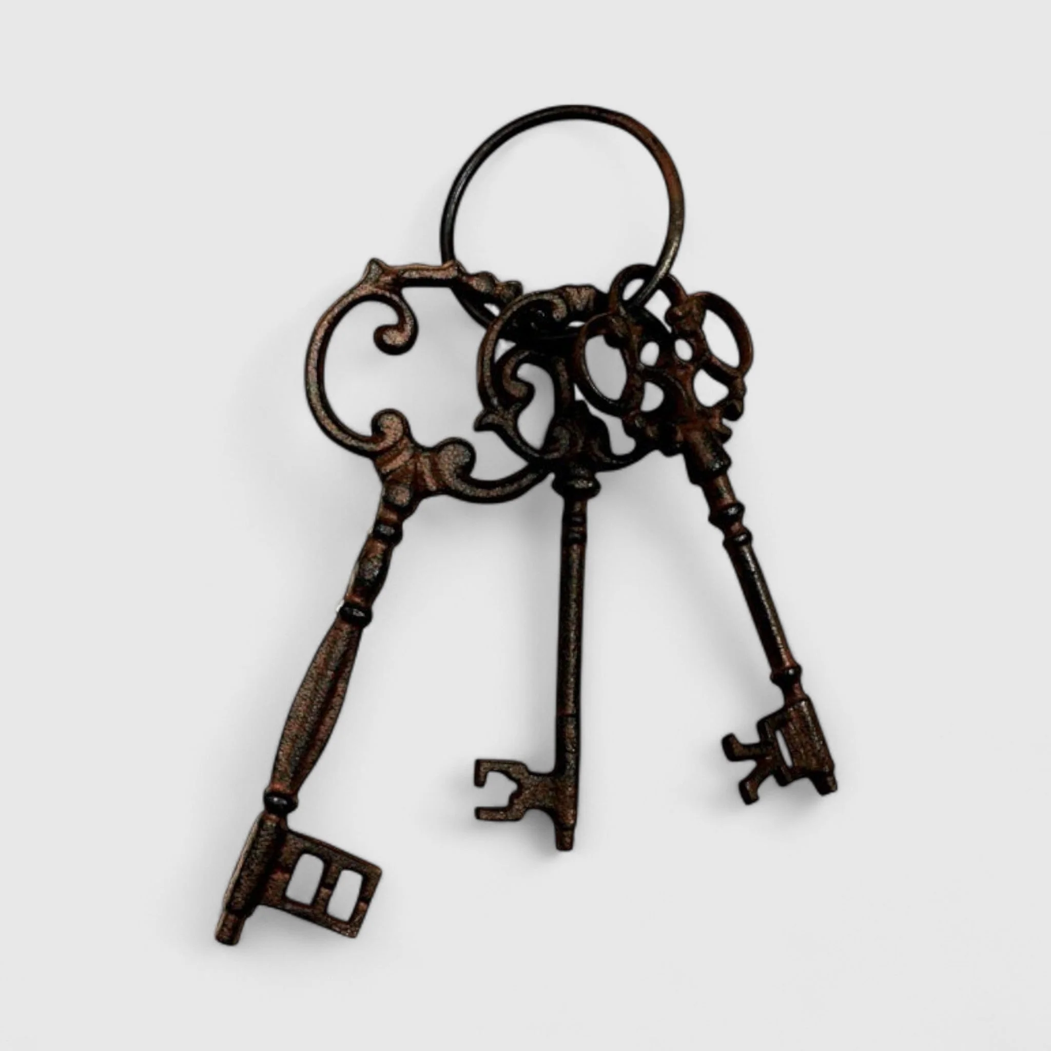 Cast Iron Skeleton Key Set - Vintage Home Accent - Image 2