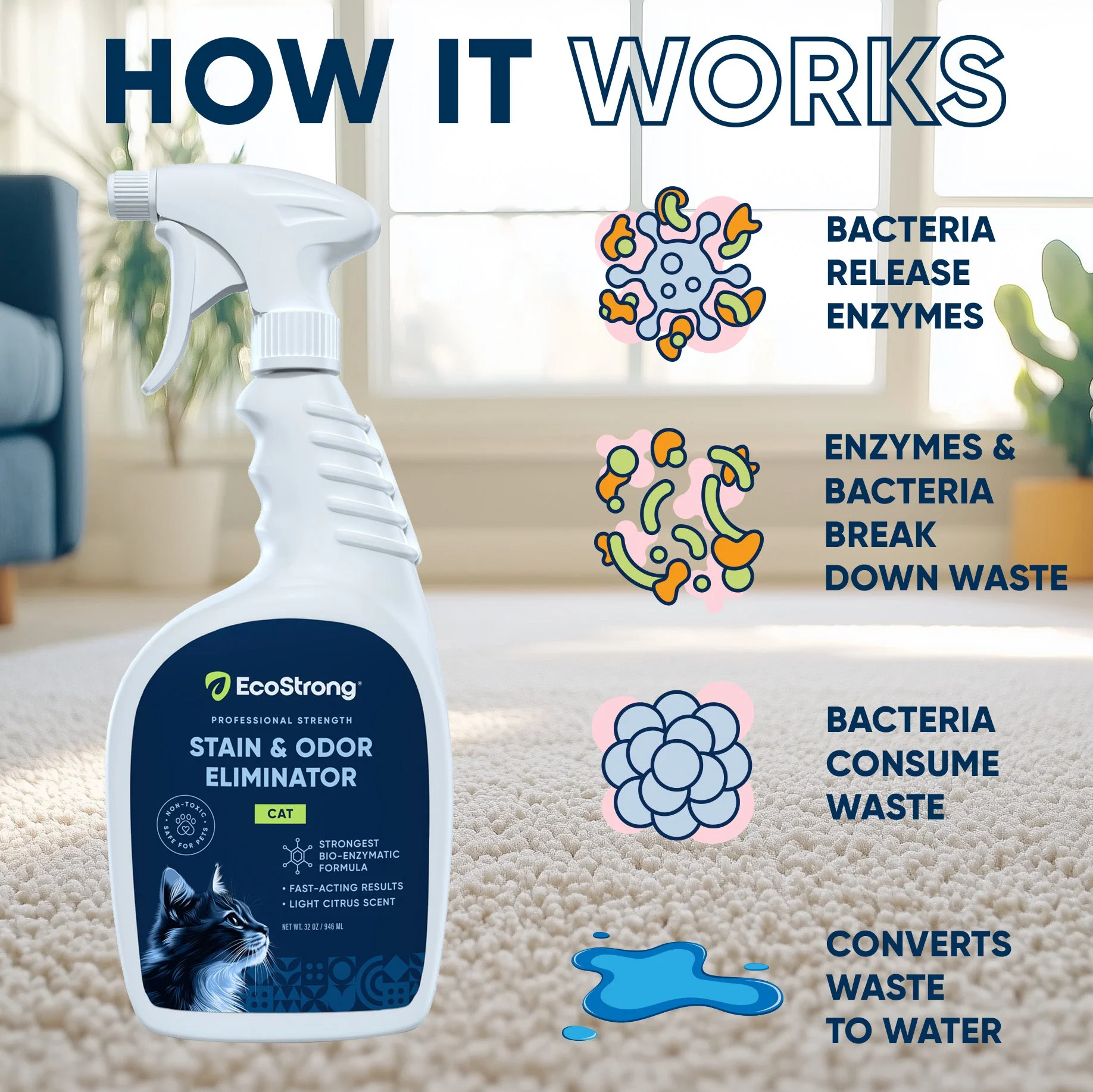 Cat Stain and Odor Eliminator - Image 12