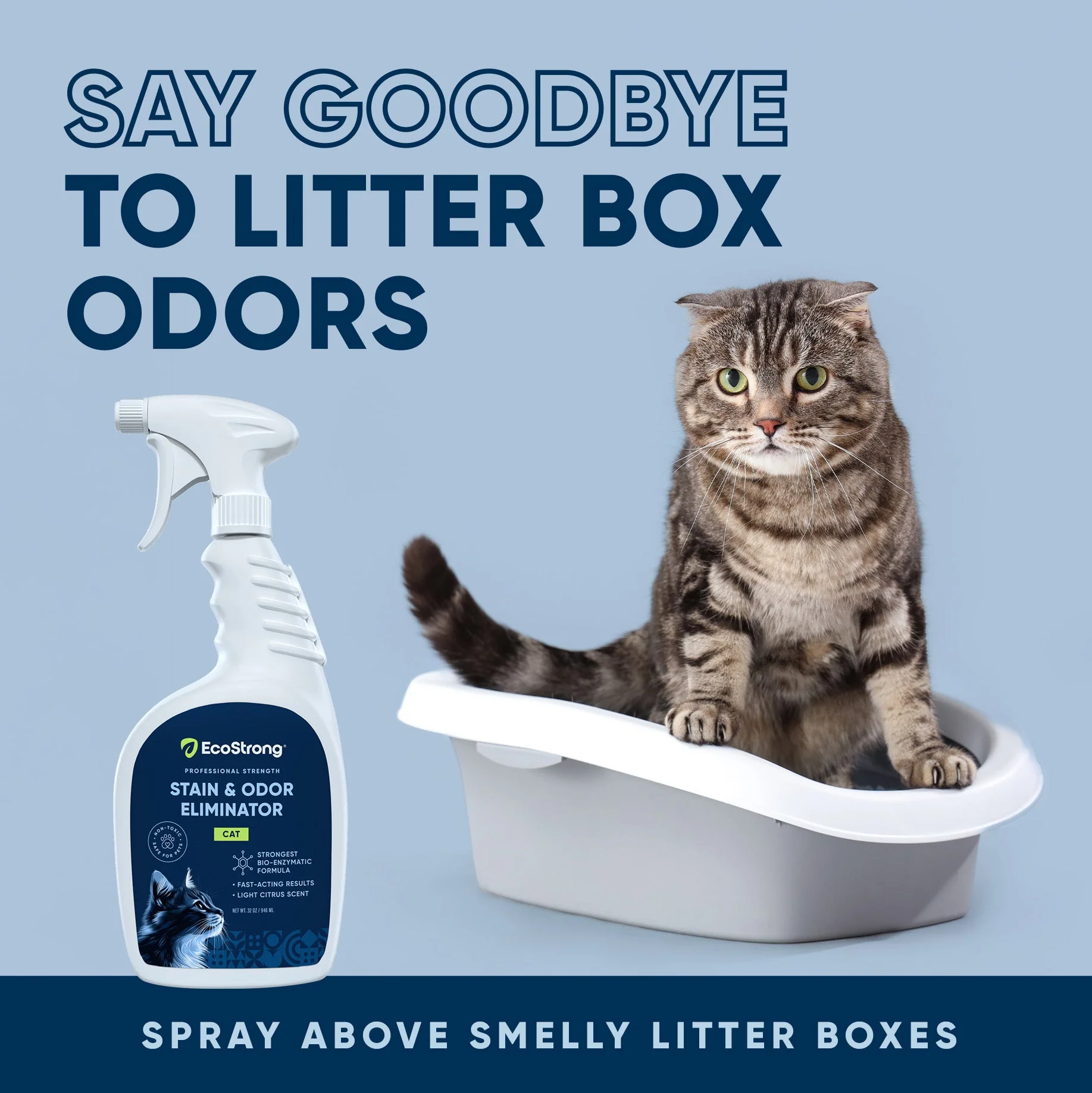 Cat Stain and Odor Eliminator - Image 14