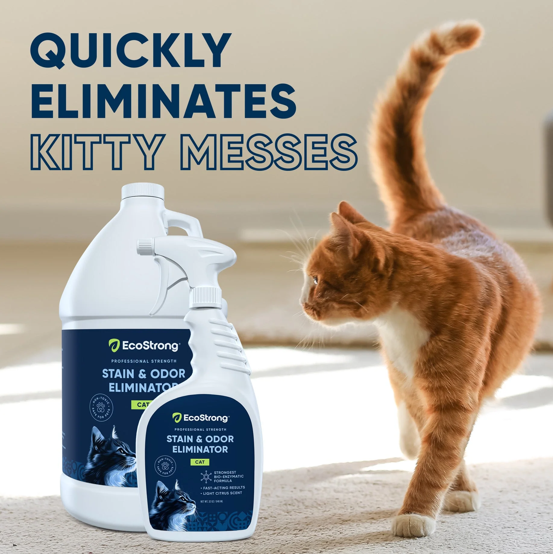 Cat Stain and Odor Eliminator - Image 18