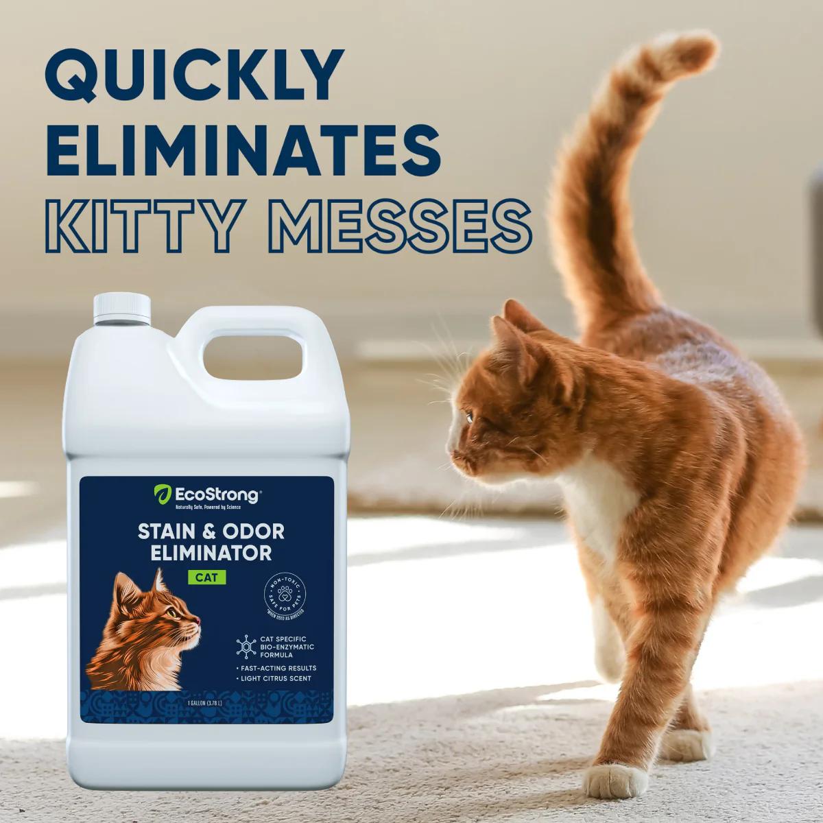 Cat Stain and Odor Eliminator - Image 2