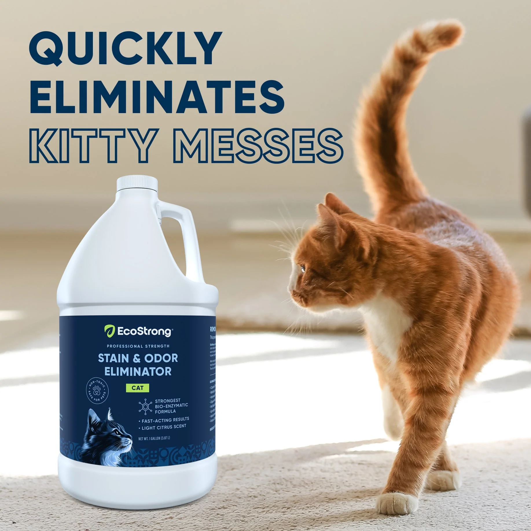 Cat Stain and Odor Eliminator - Image 23