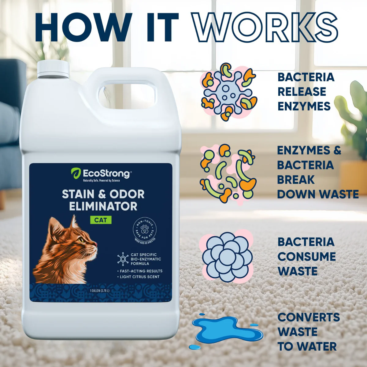 Cat Stain and Odor Eliminator - Image 4