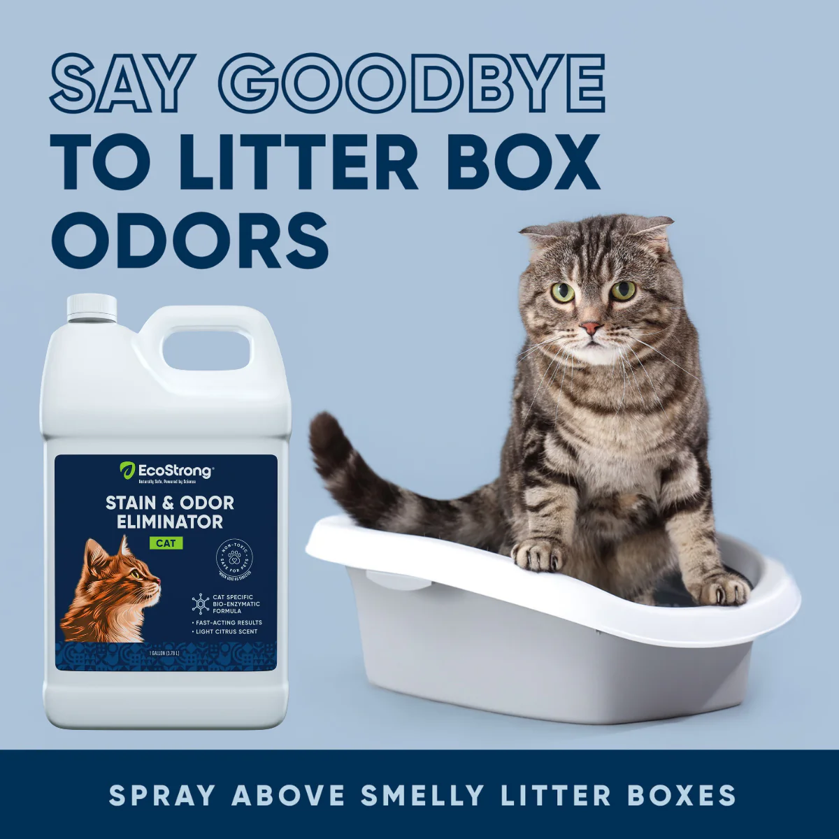 Cat Stain and Odor Eliminator - Image 6