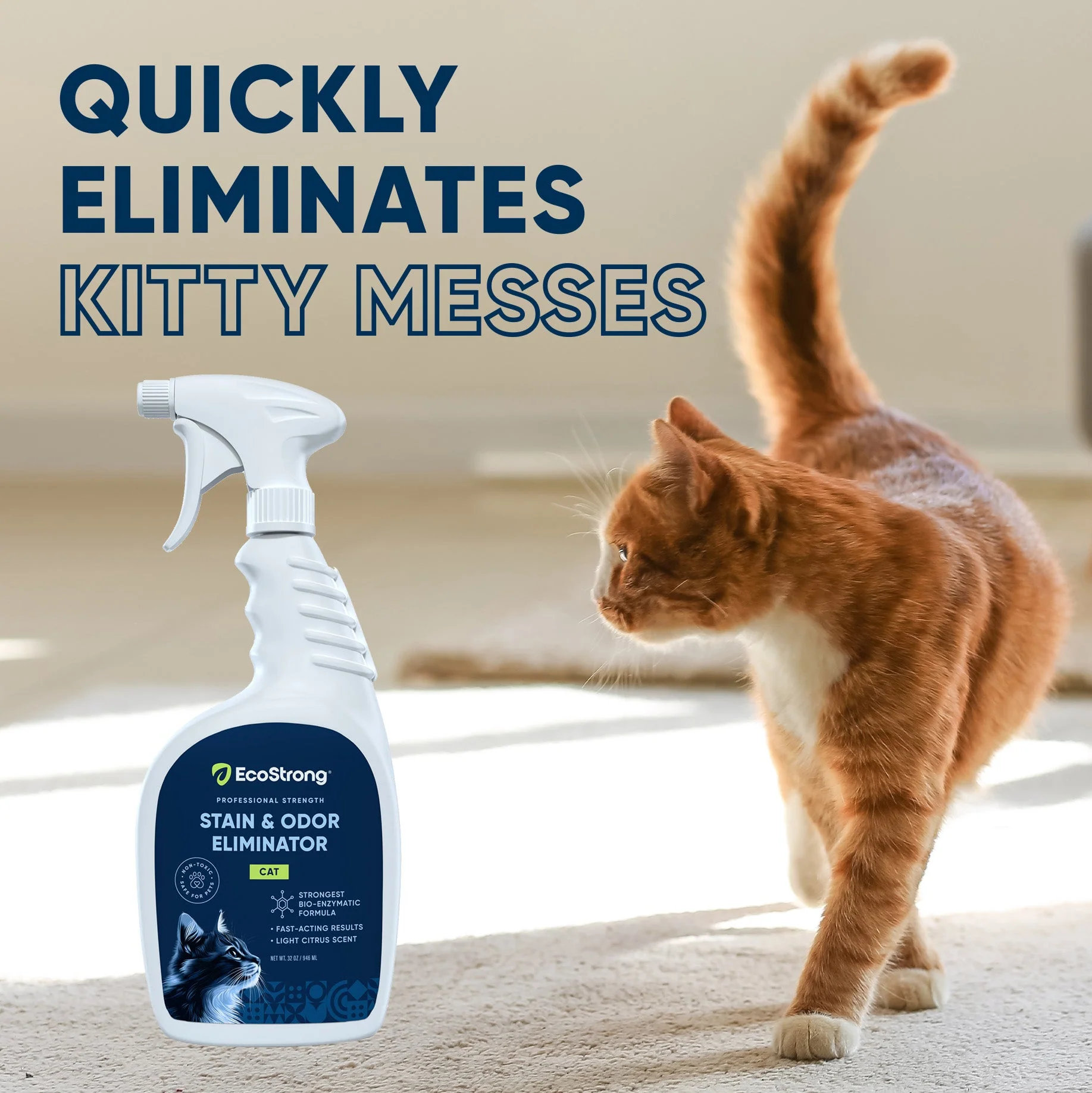 Cat Stain and Odor Eliminator - Image 9