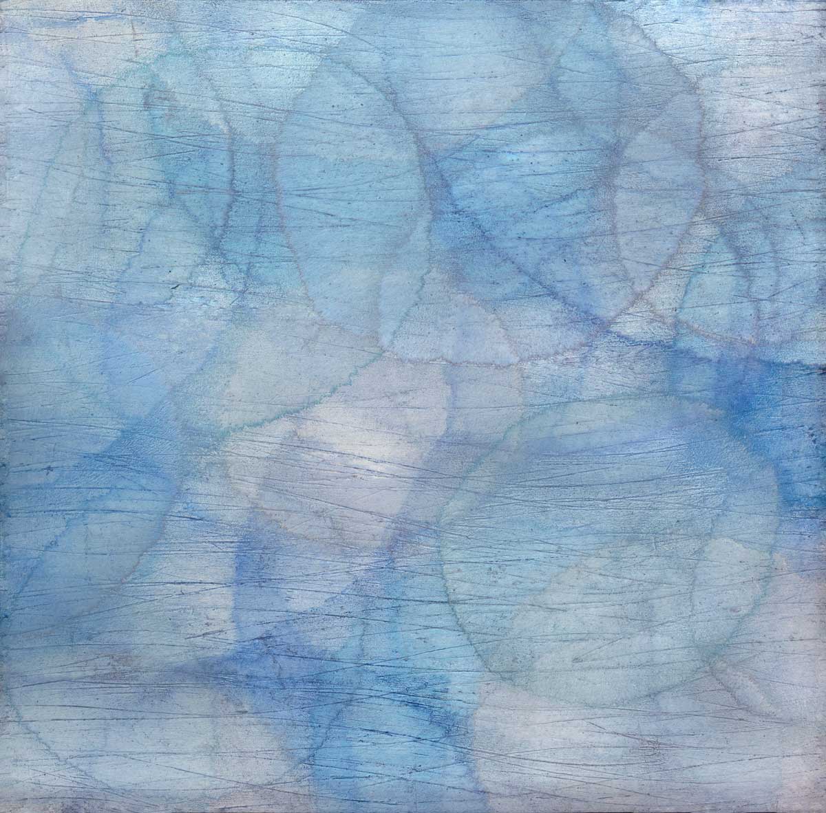Caulophyllum II - Limited Edition Canvas Print - Image 3