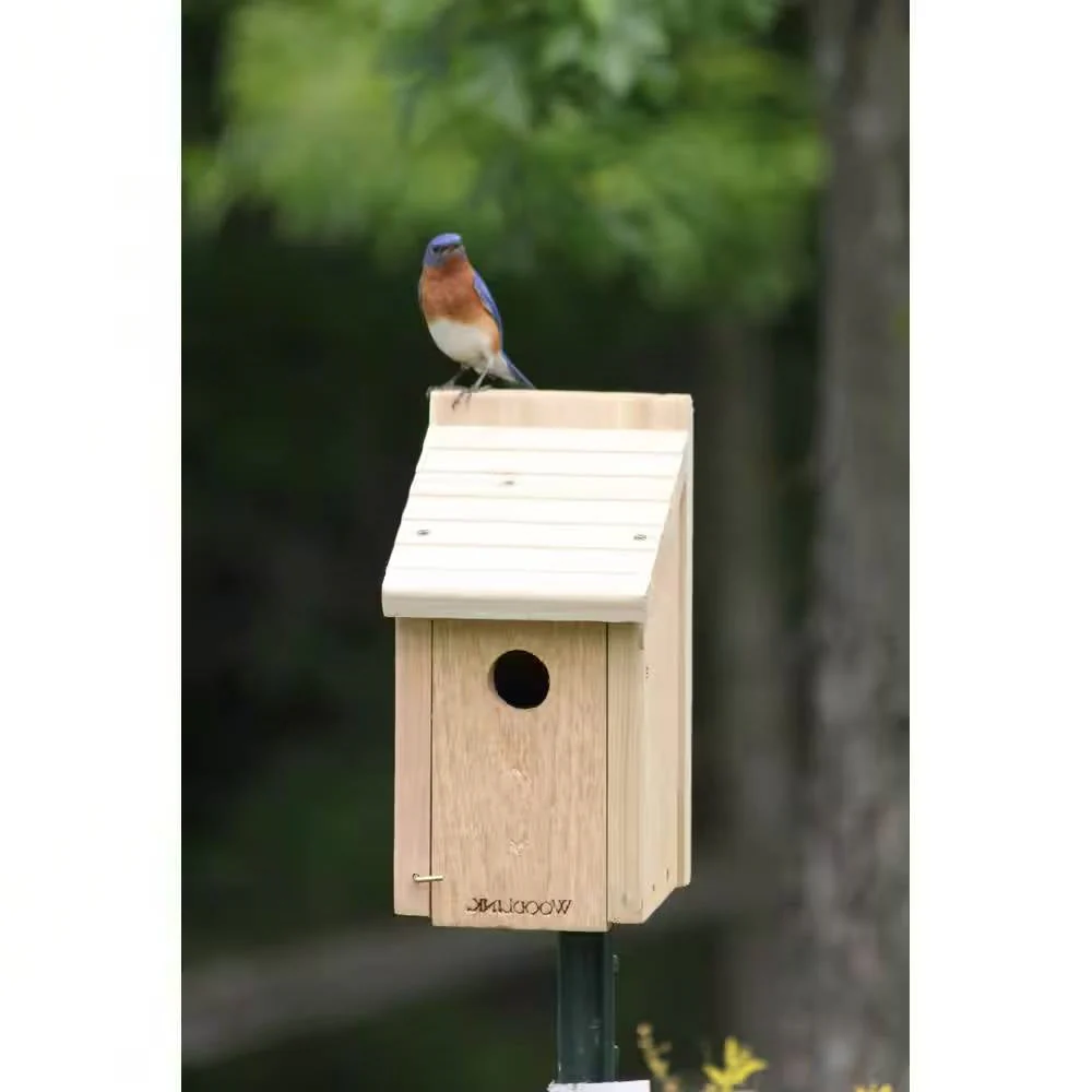 Cedar Wood Birdhouse - Ideal for Eastern Western and Mountain Bluebirds - Image 2