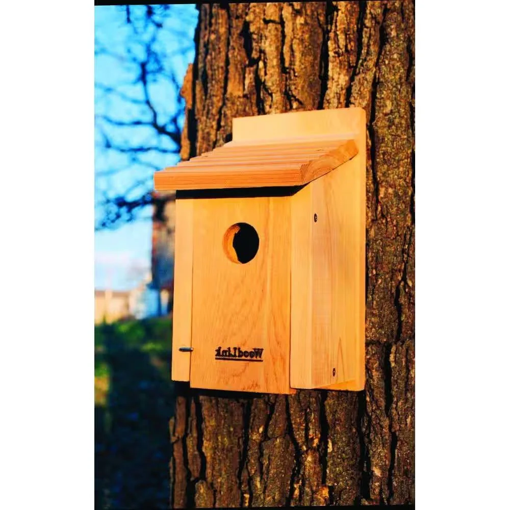Cedar Wood Birdhouse - Ideal for Eastern Western and Mountain Bluebirds - Image 3