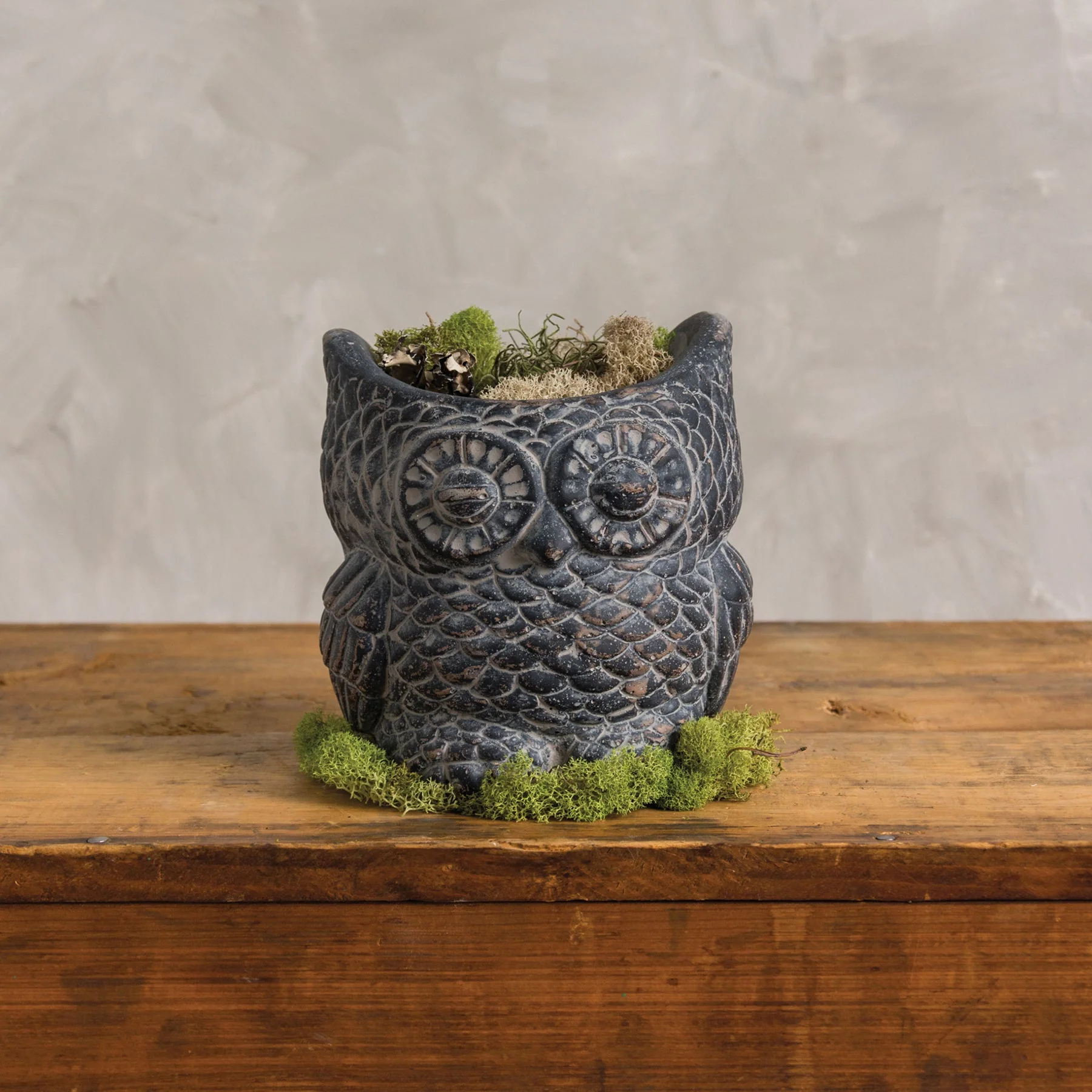 Cement Owl Planter in Dark Gray | Succulents Greenery Plant Pot | Decorative Indoor Outdoor Garden Décor - Image 2
