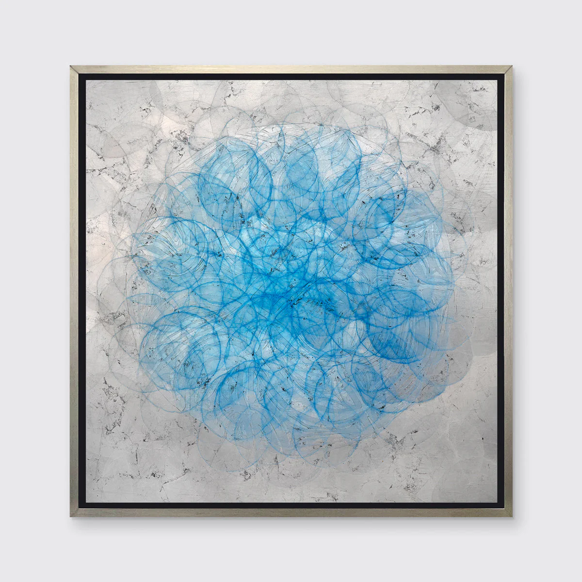 Centaurea - Limited Edition Canvas Print