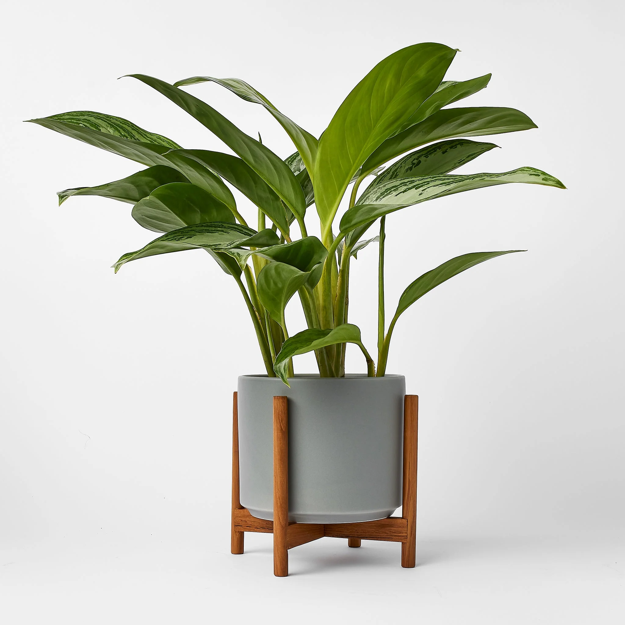 Ceramic Cylinder - Image 55