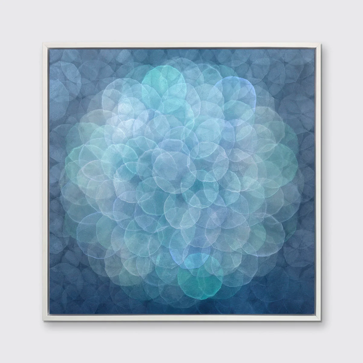 Cereus - Limited Edition Canvas Print - Image 3