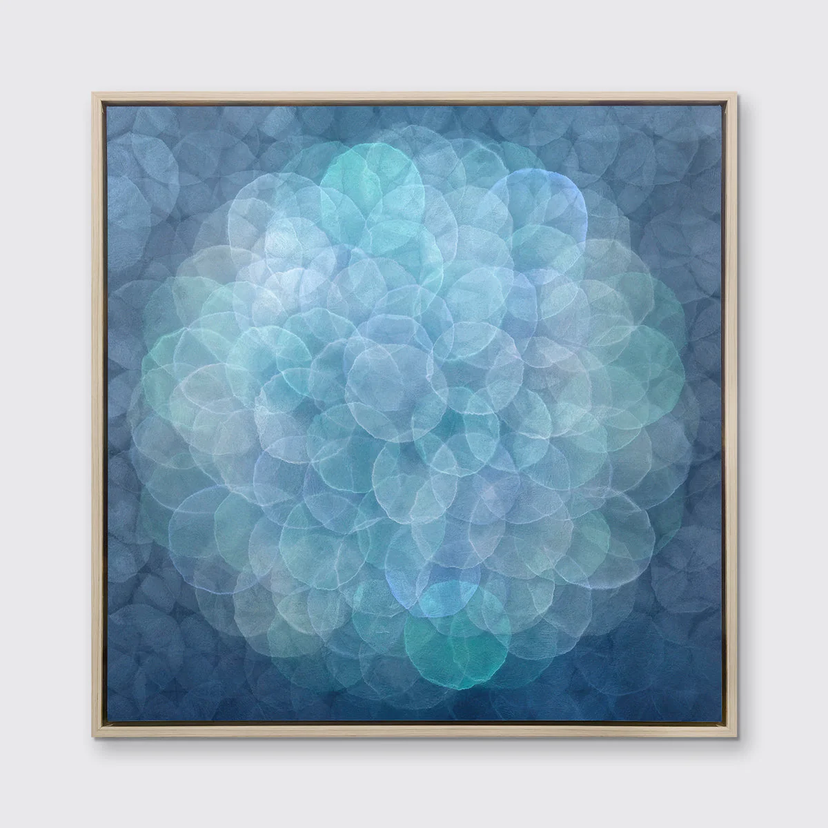 Cereus - Limited Edition Canvas Print - Image 5