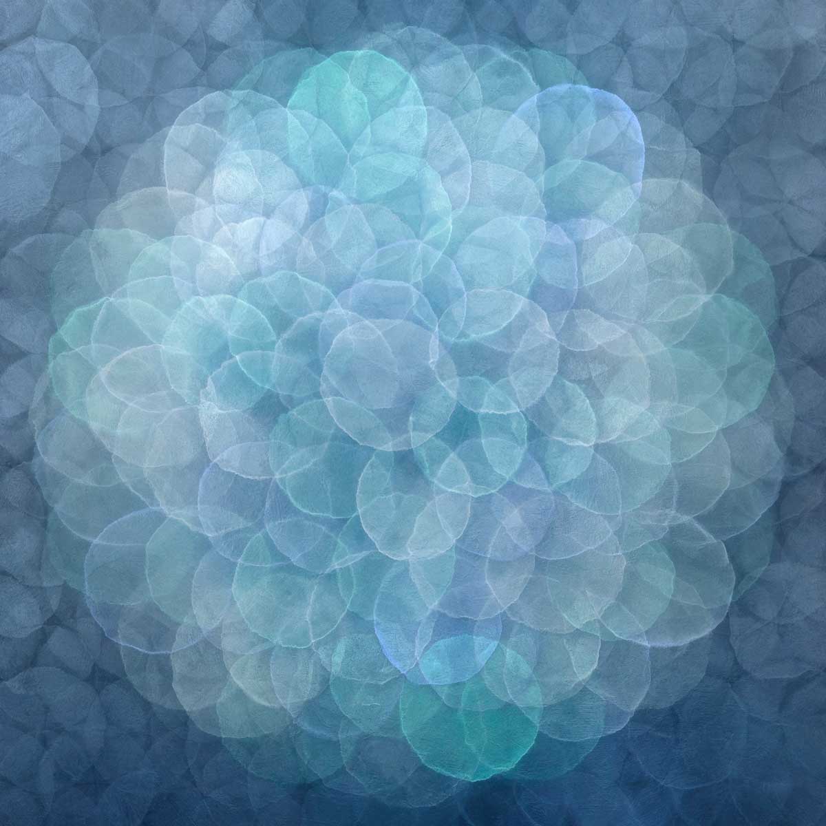 Cereus - Limited Edition Canvas Print - Image 7