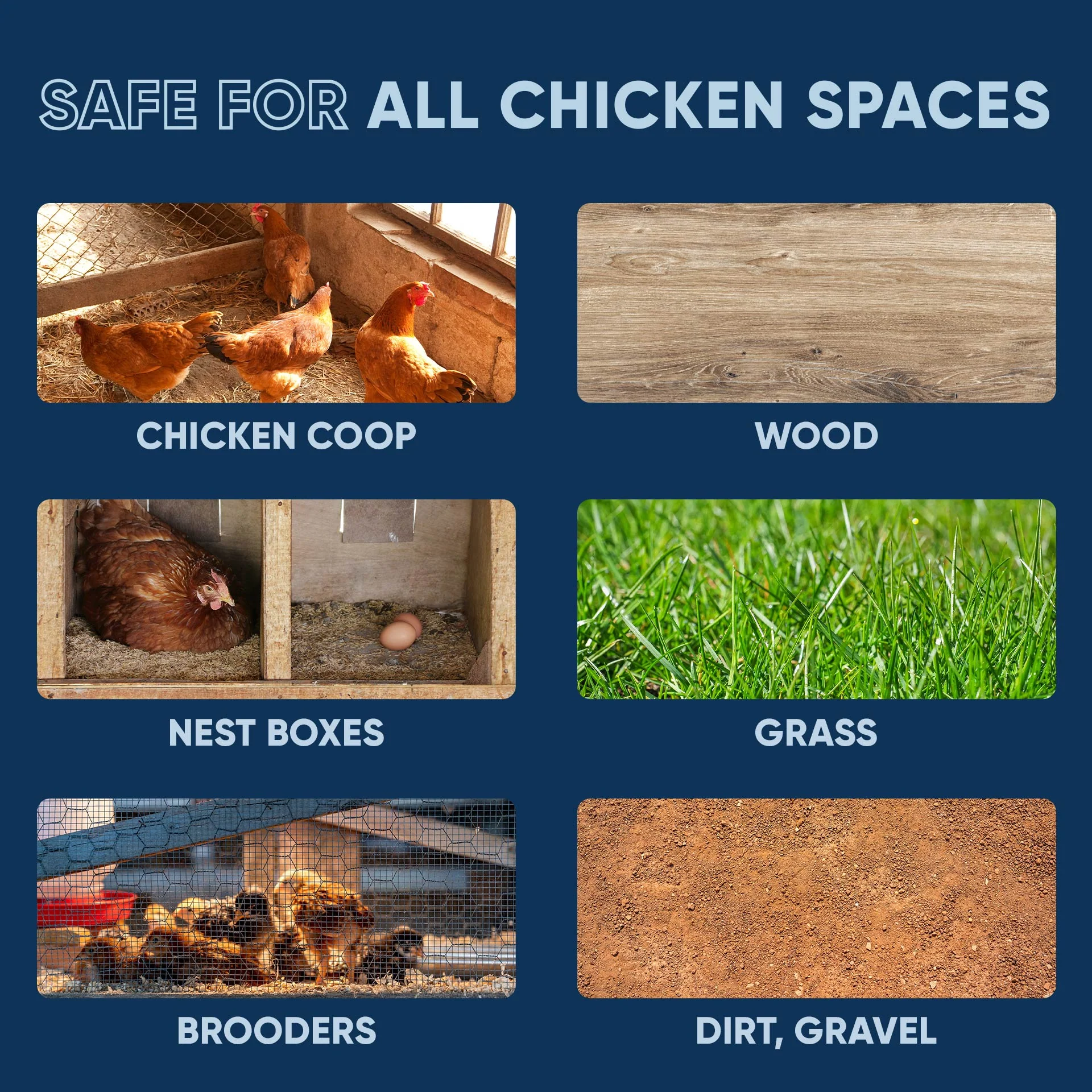 Chicken Coop Odor Eliminator - Image 10