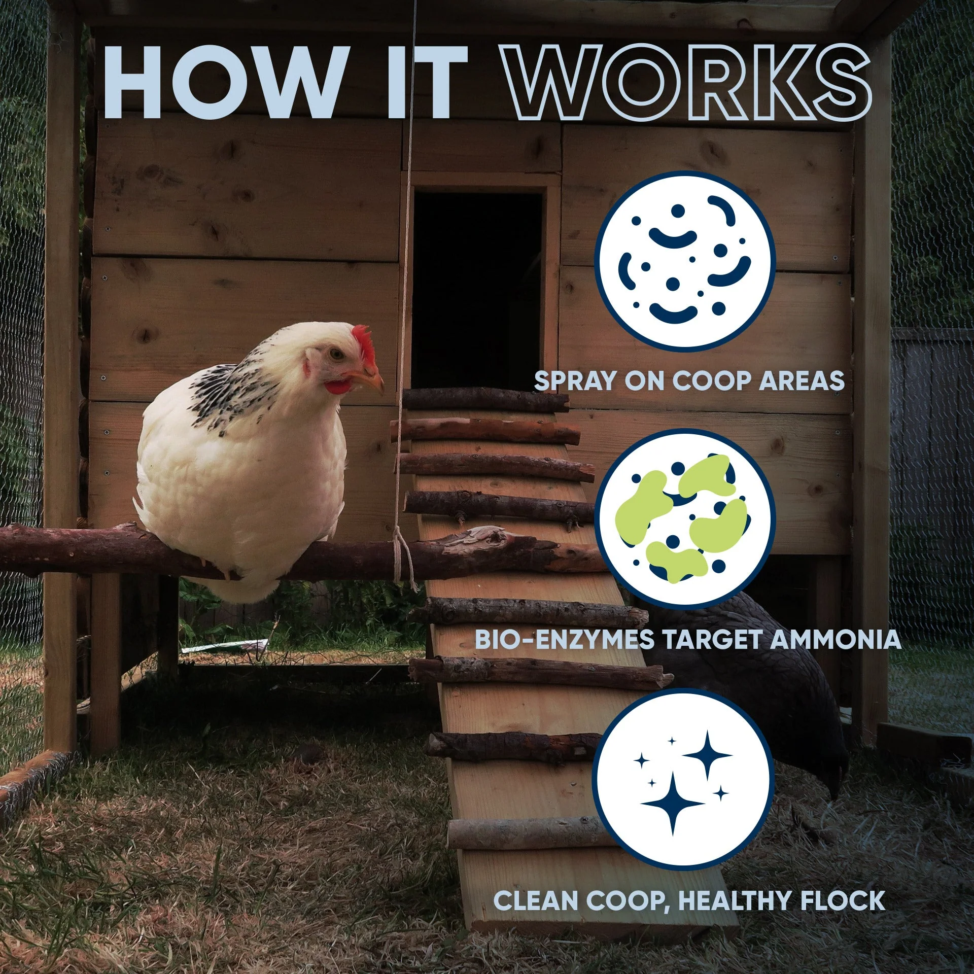 Chicken Coop Odor Eliminator - Image 6