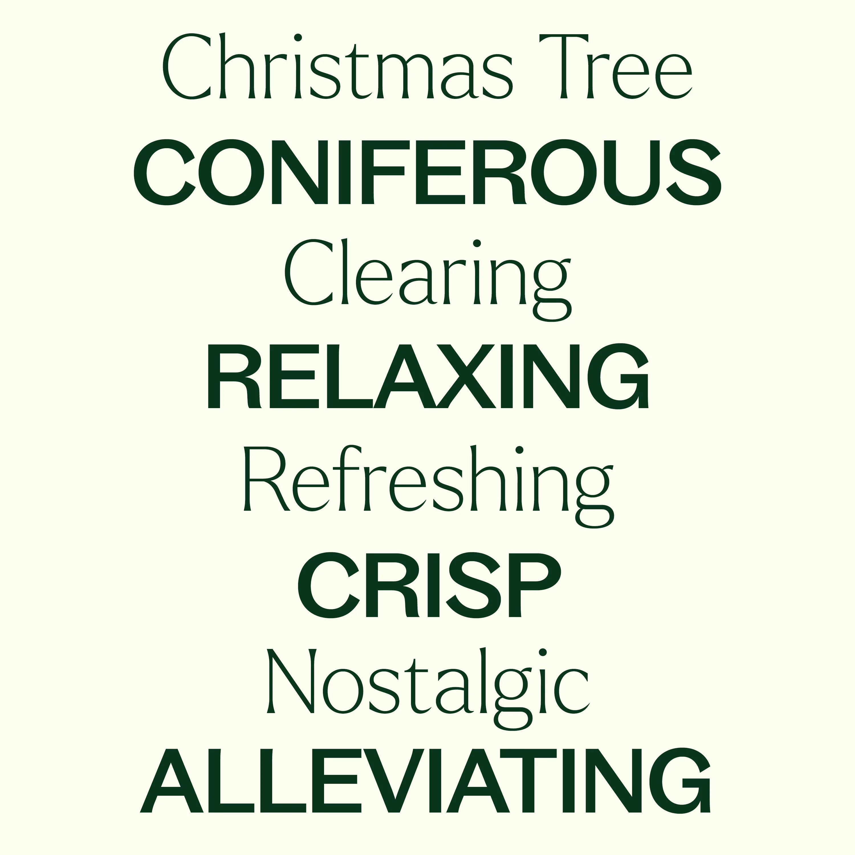 Christmas Tree Essential Oil Blend - Image 5