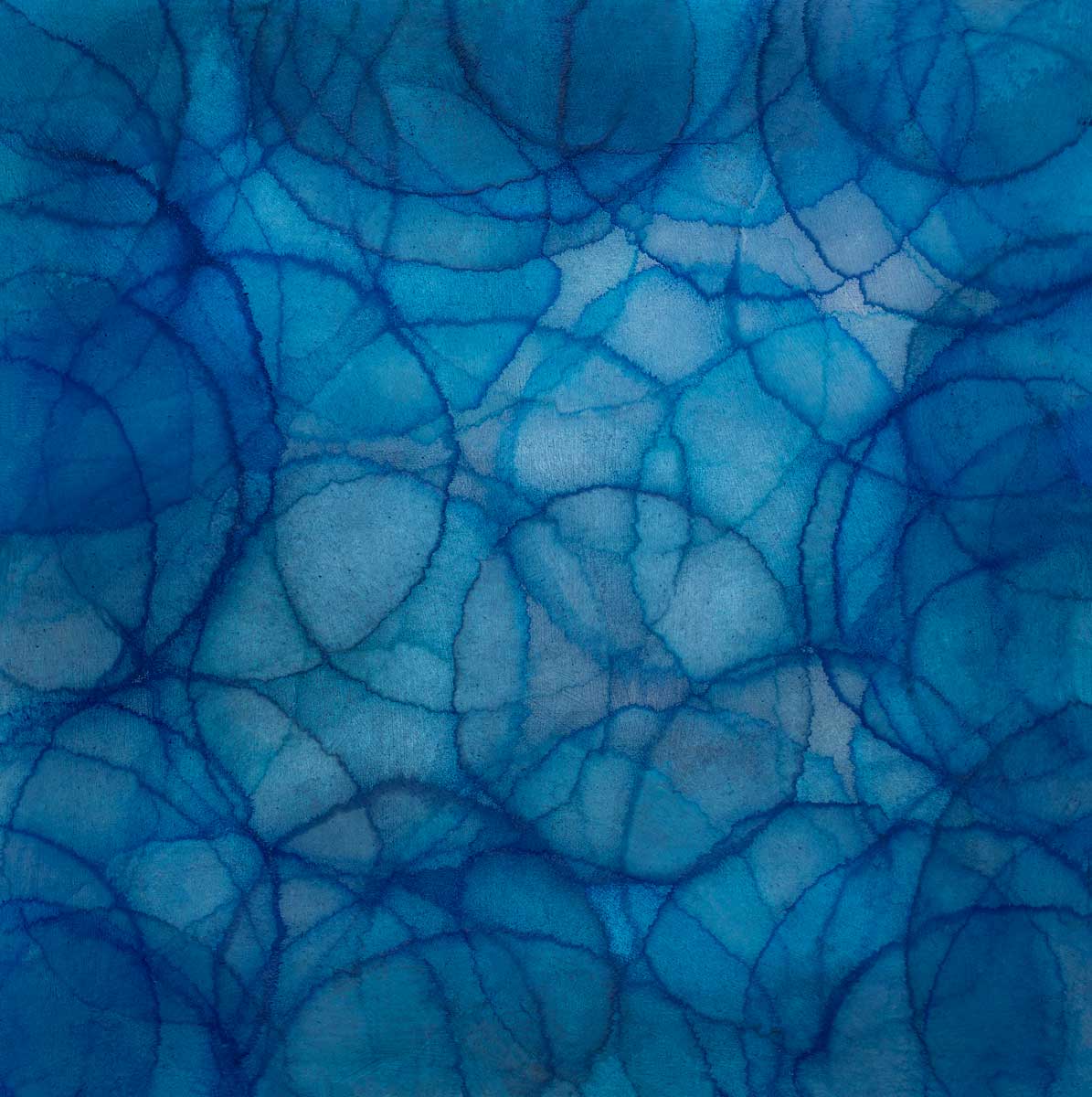 Cineraria - Limited Edition Canvas Print - Image 3