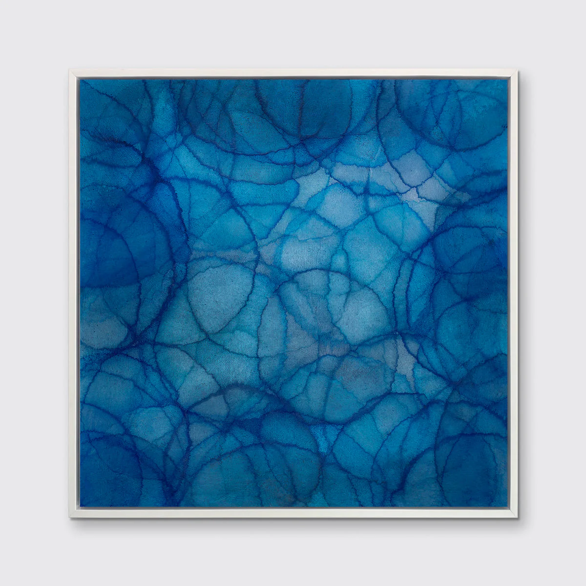 Cineraria - Limited Edition Canvas Print - Image 5